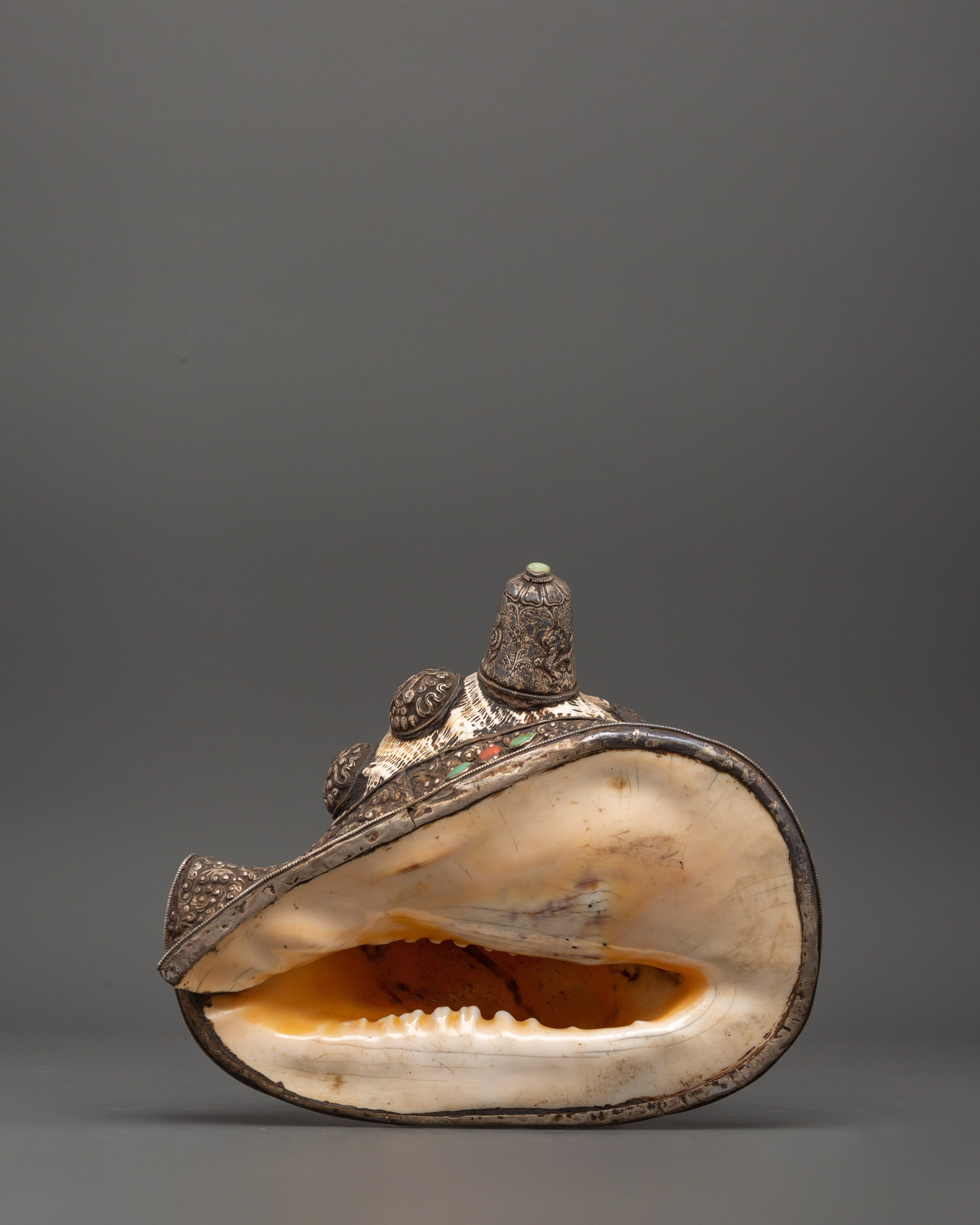 Conch Shell with 8 Auspicious Symbols | Sacred Tibetan Ritual Tool