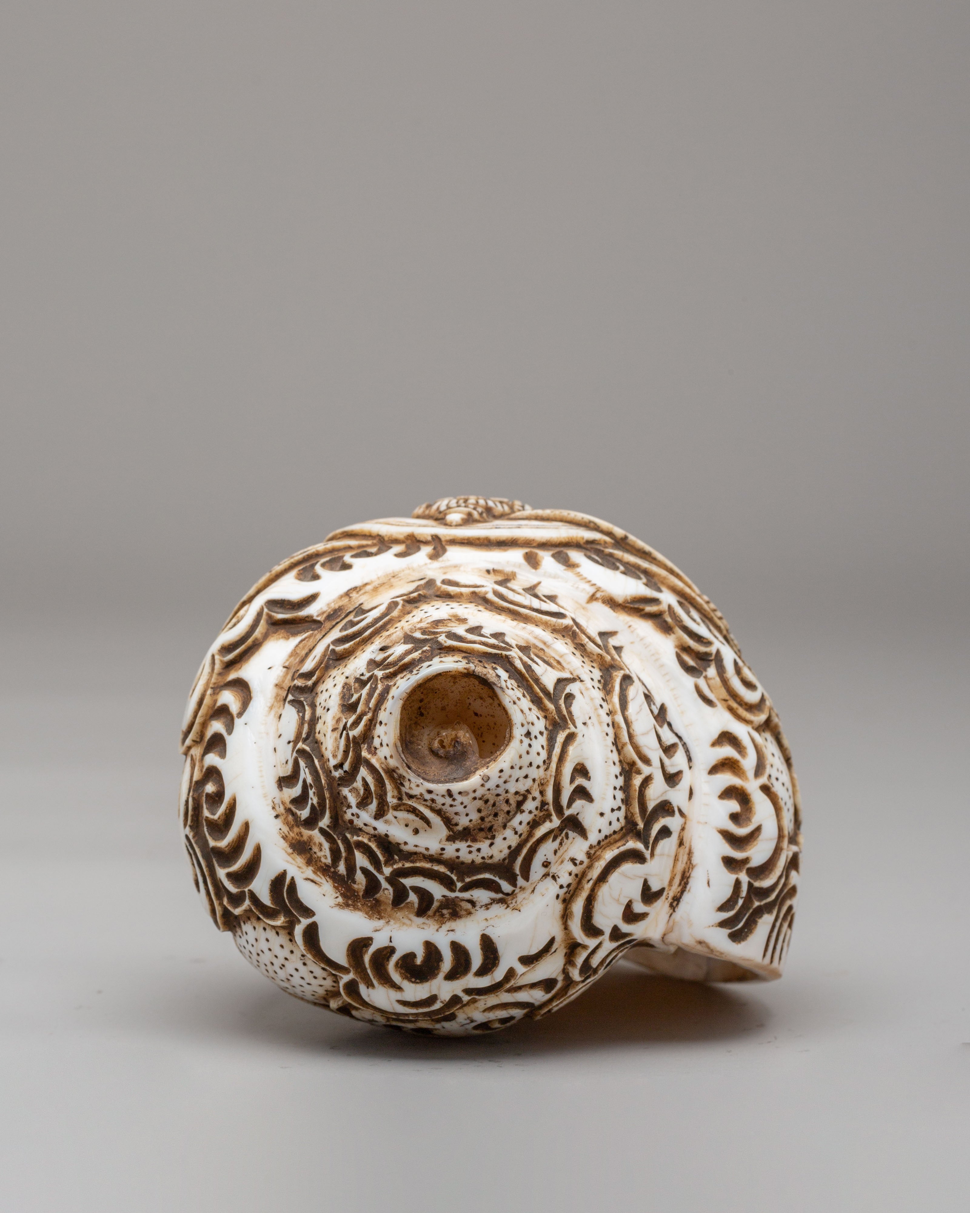 Tibetan Manjushri Carved Conch | Buddhist Decorative Shell