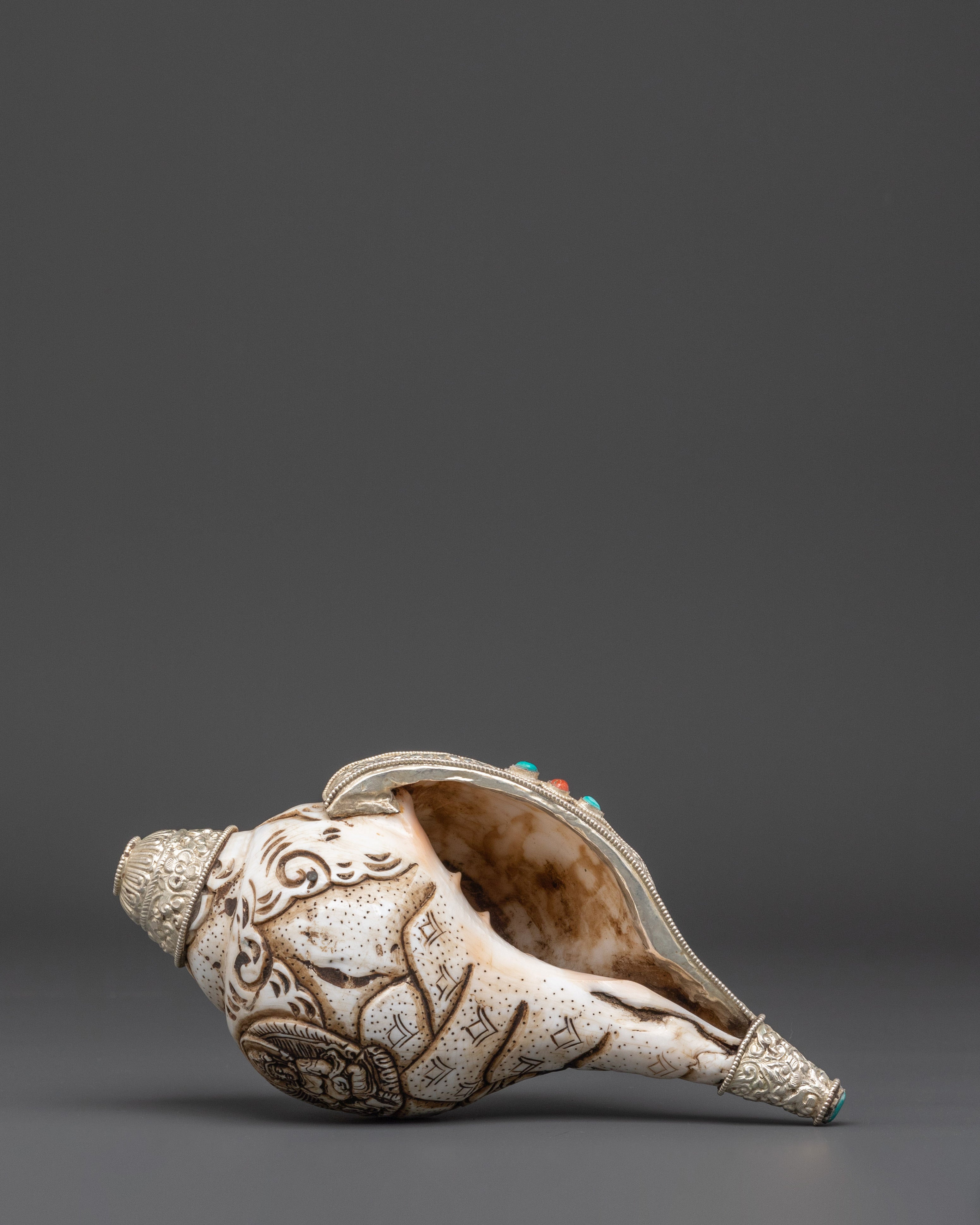 Sacred Conch Artifact |  Meditation and Altar Decor