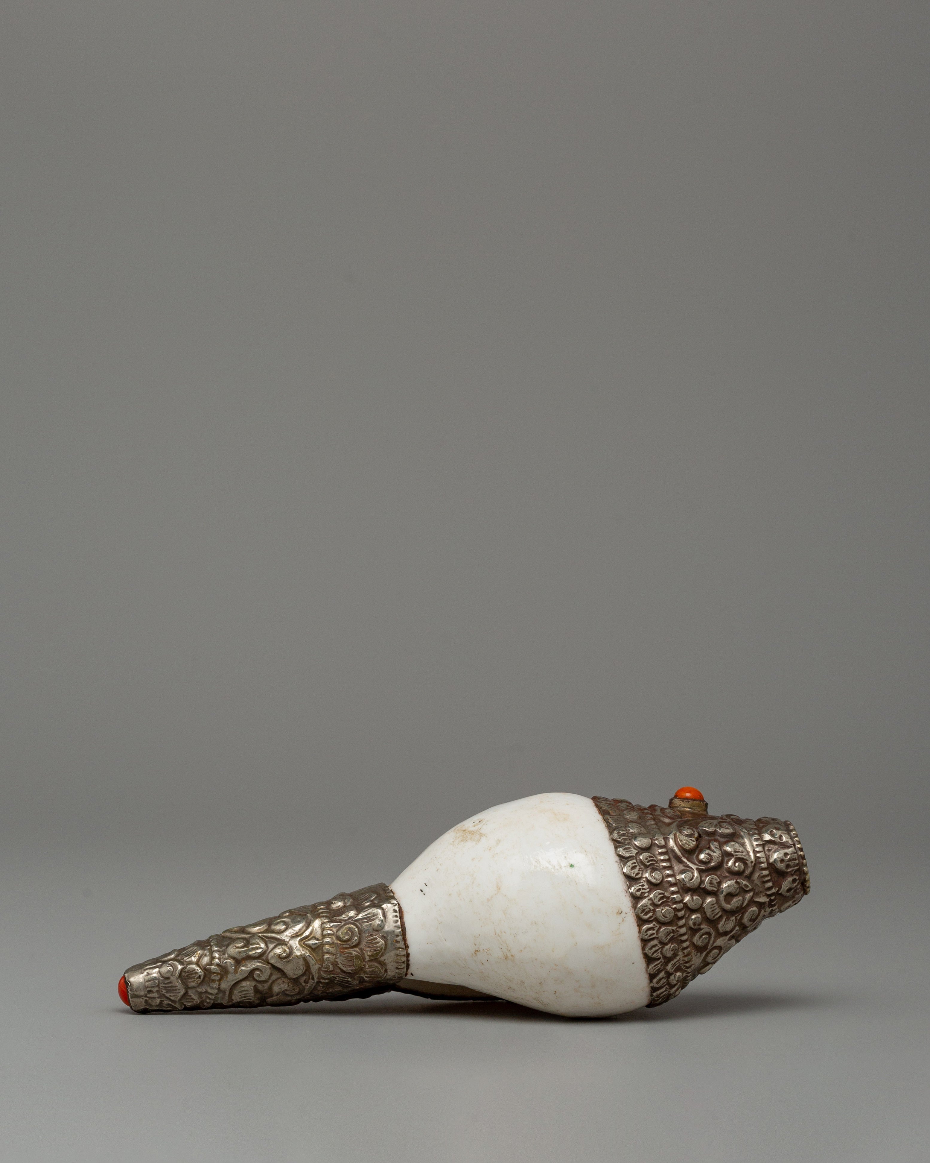 Tibetan Conch for Altar | A Symbol of Awakening
