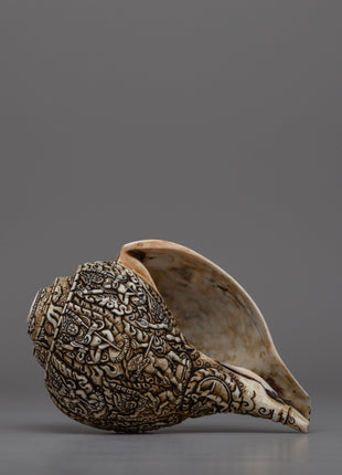 Intricately Carved Tibetan Conch Shell