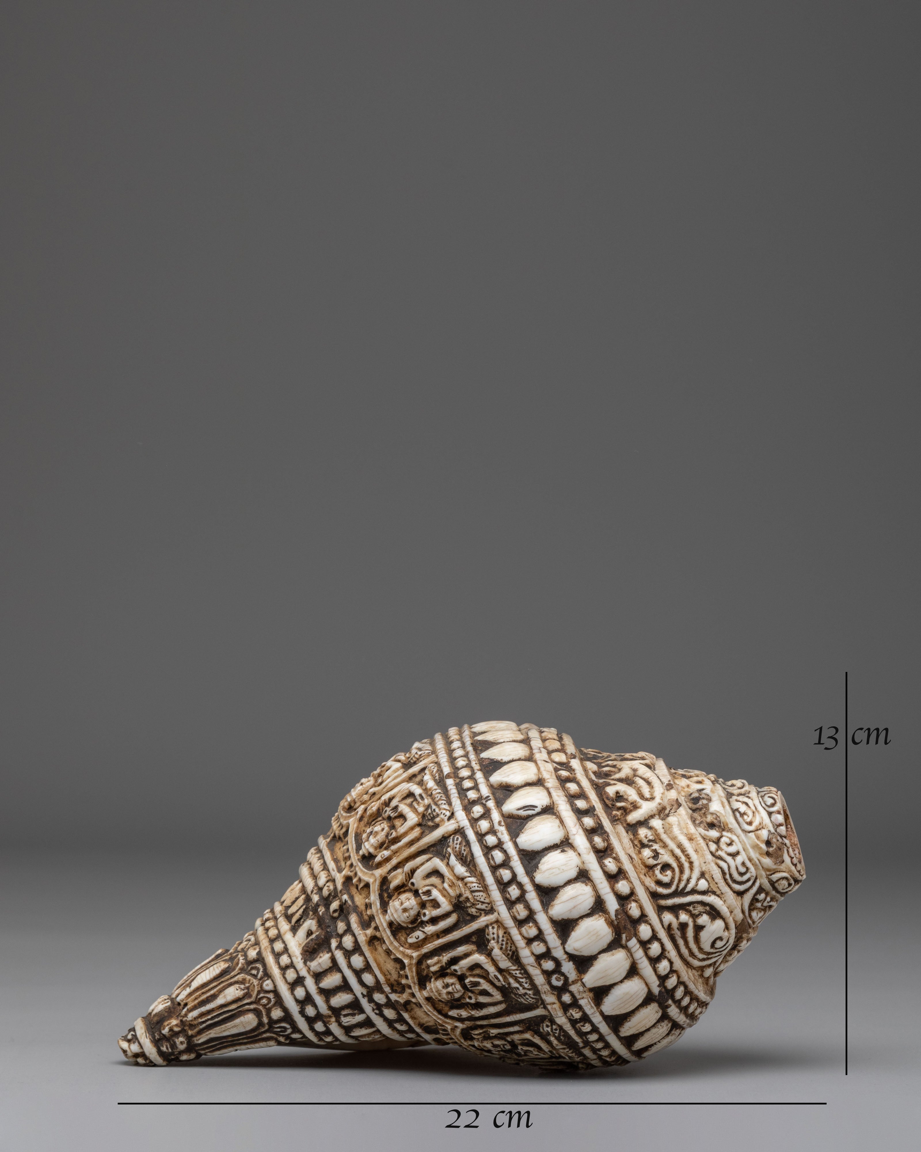 Hand Carved Tibetan Conch Shell | Sacred Sound Conch for Meditation