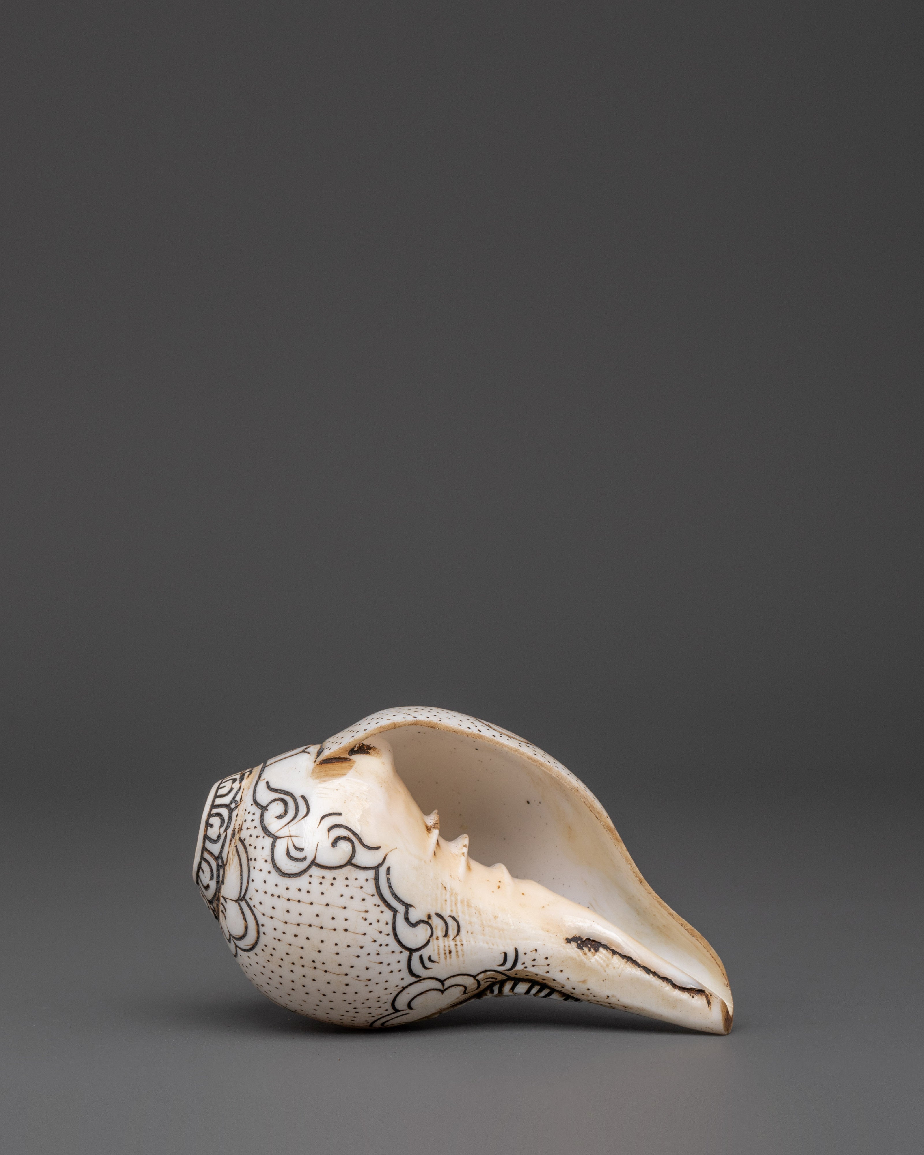 Dzambhala Conch | Sacred Buddhist Artifact
