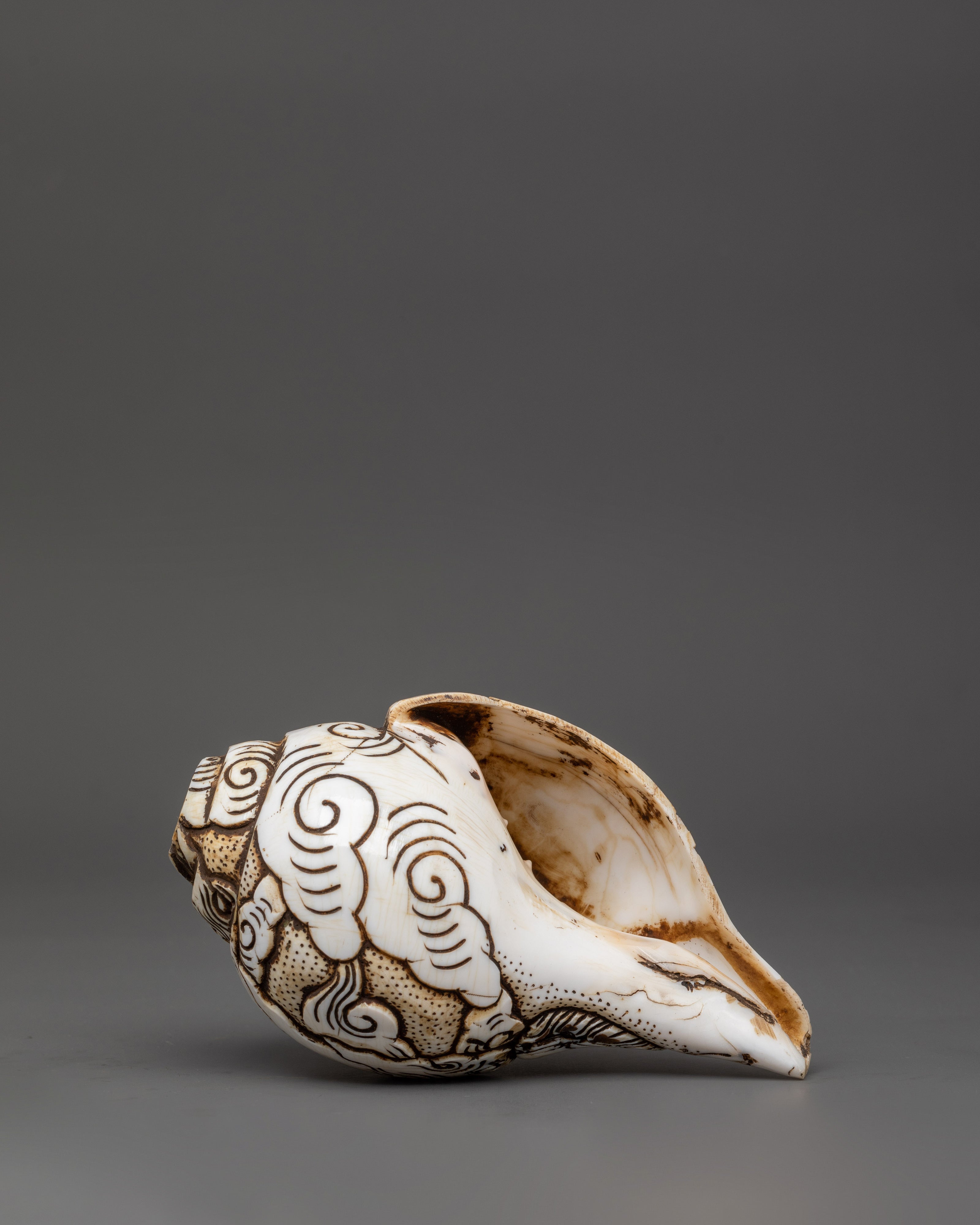 Handcrafted Ganesh Conch Shell | Sacred Shankha with Carved Ganesha Design