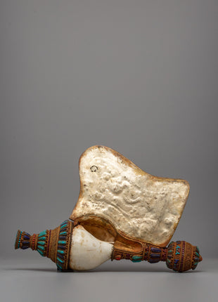 Tibetan Ritual Conch Shell (Shankha) with Precious Stones | Spiritual Practices
