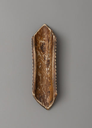 Chitipati Buffalo Bone Wall Decor | Symbol of Transformation & Protection