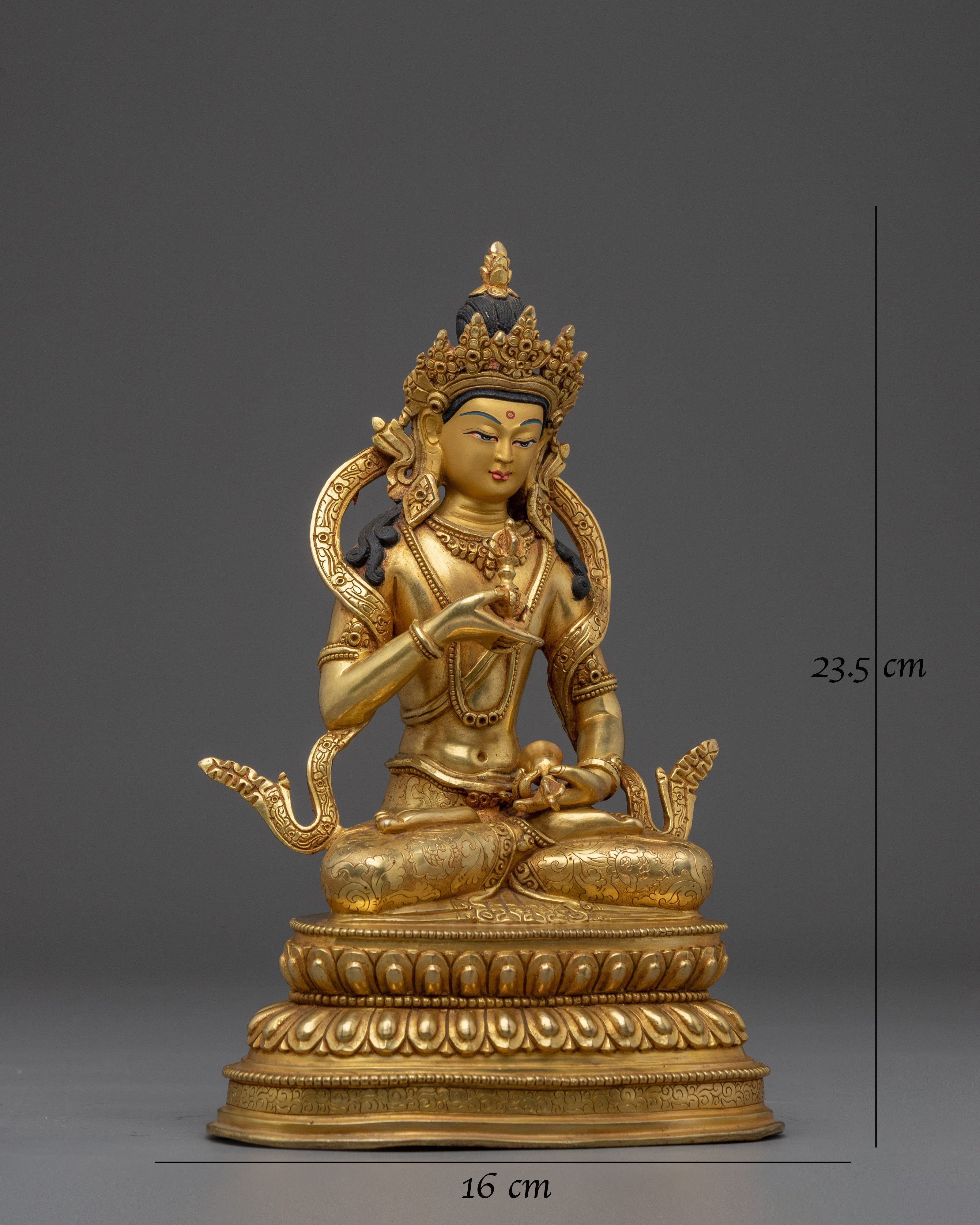 Negative Energy Puriifer Vajrasattva