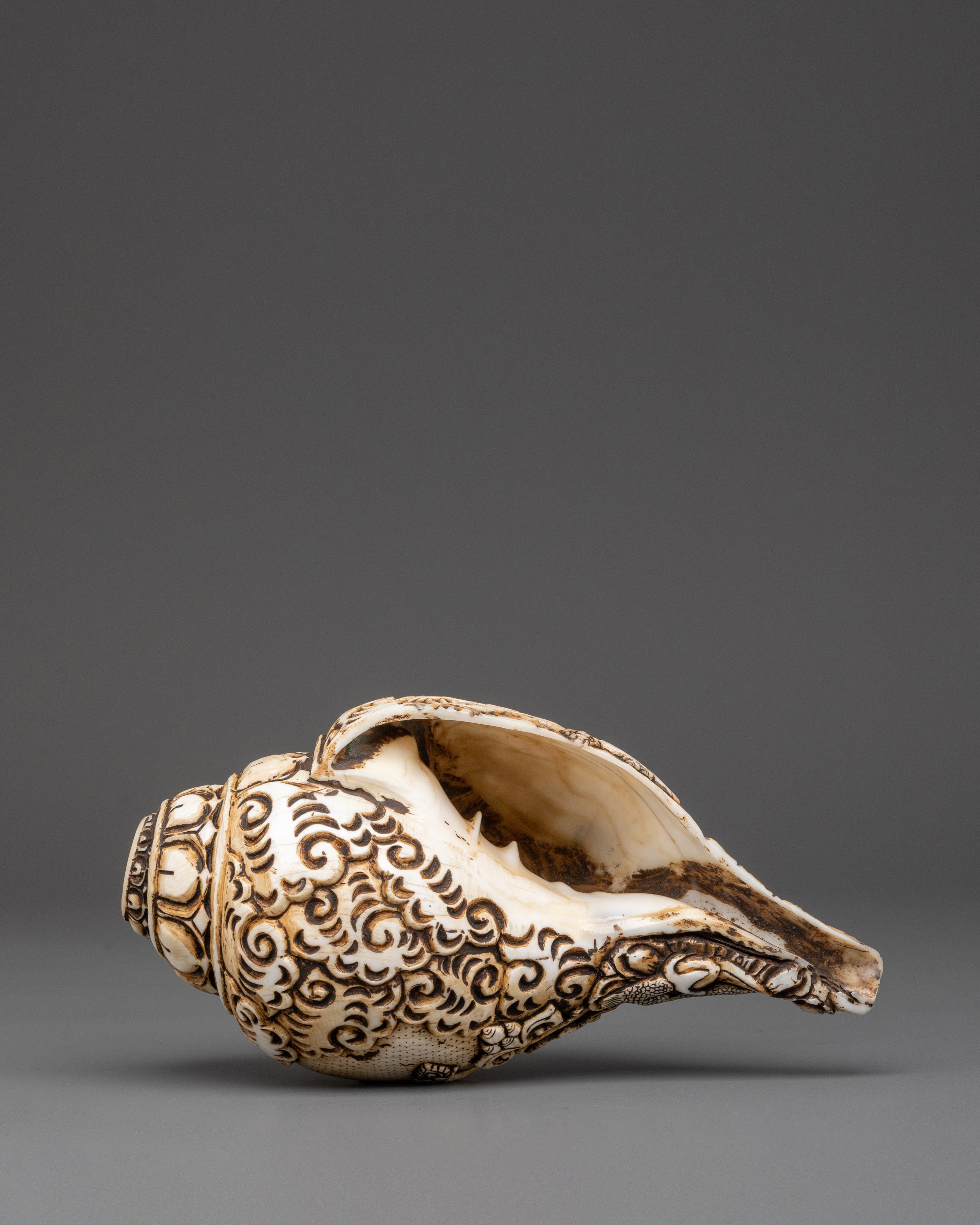 Three Dhyani Buddha and White Tara Carved Conch | Conch Shell
