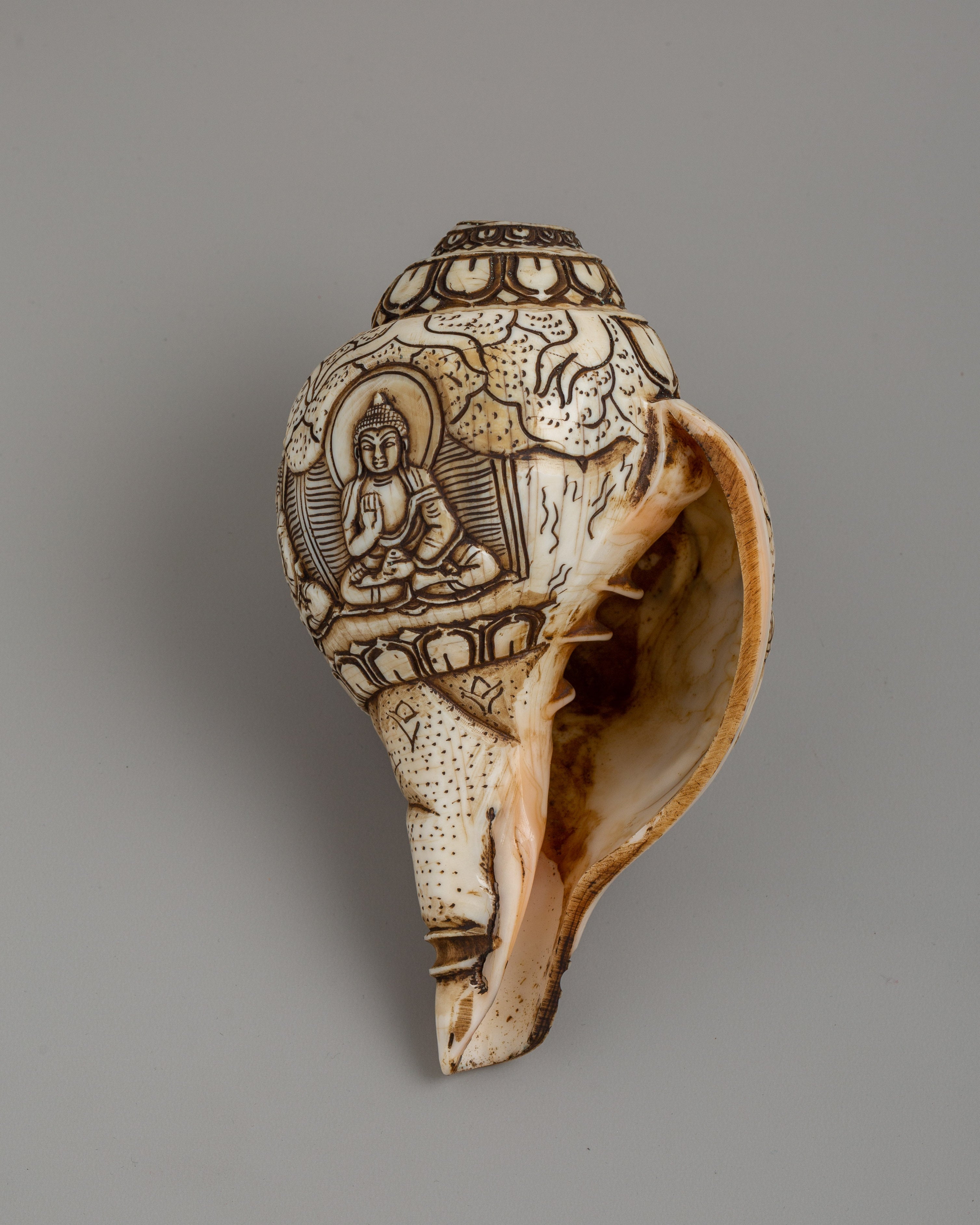 Hand-Carved Conch Shell | A Sacred Shankha for Rituals & Meditation