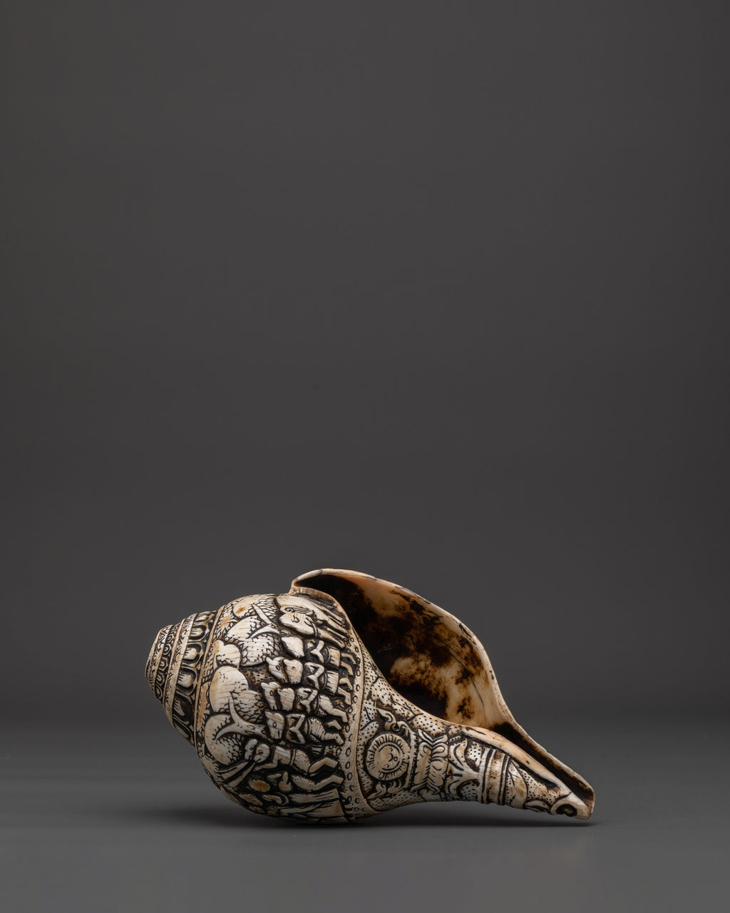 Conch Shell Ritual Hand-Carved Ritual Conch Shell | Tibetan Buddhist Shankha with Deity