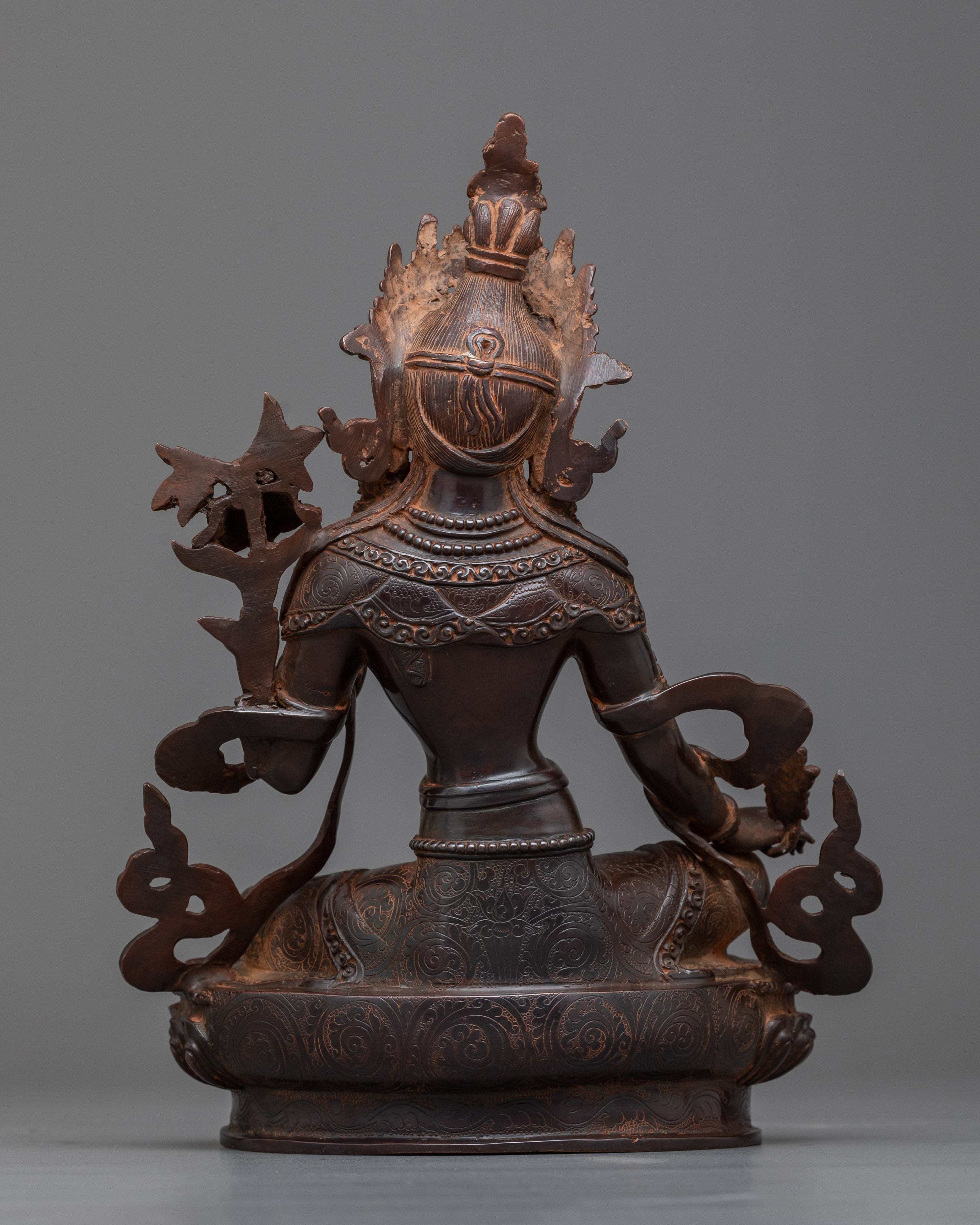 Hamsa Vara Nadini Tara | Experience Spiritual Harmony