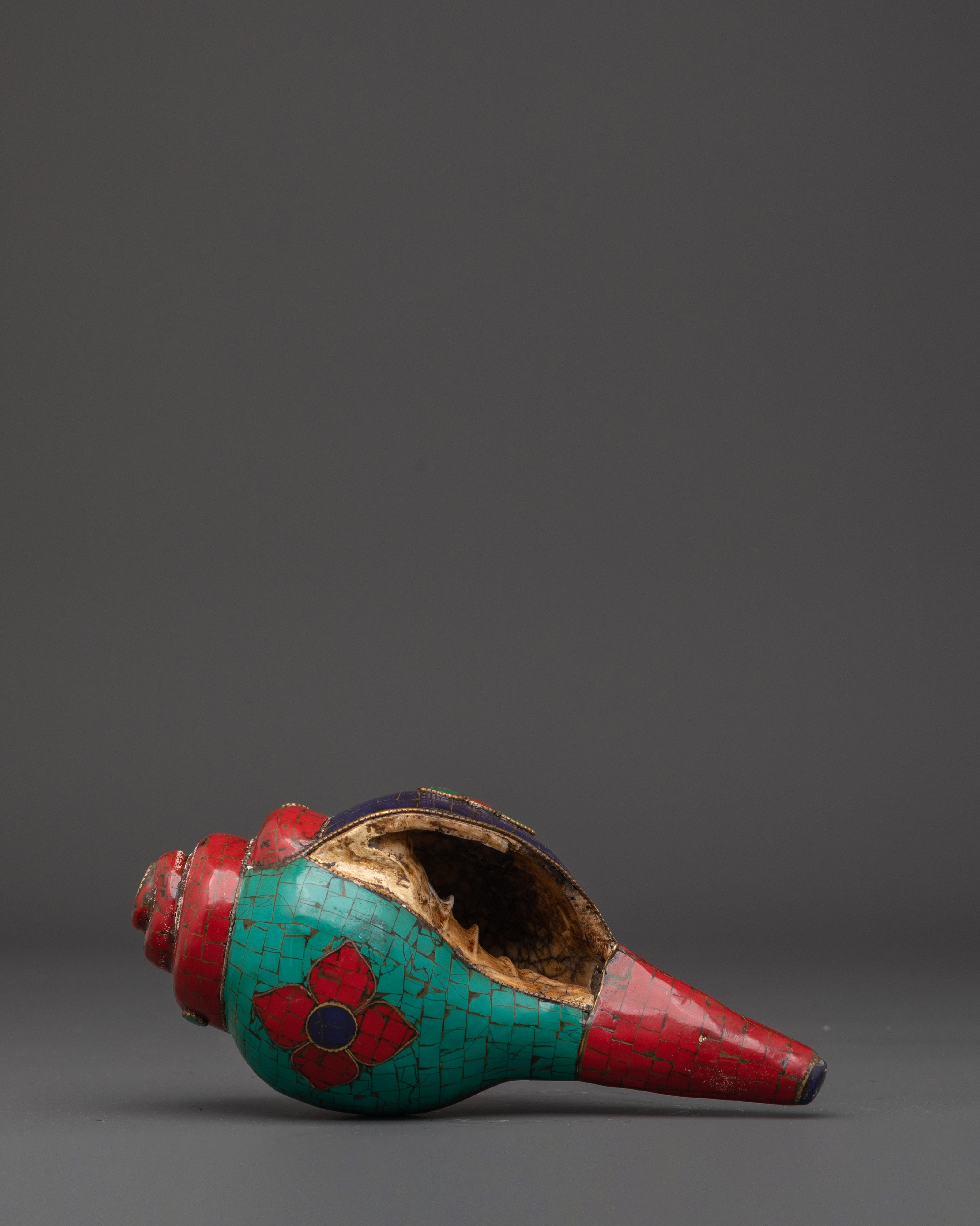Conch for Altar | Ritual Shankha