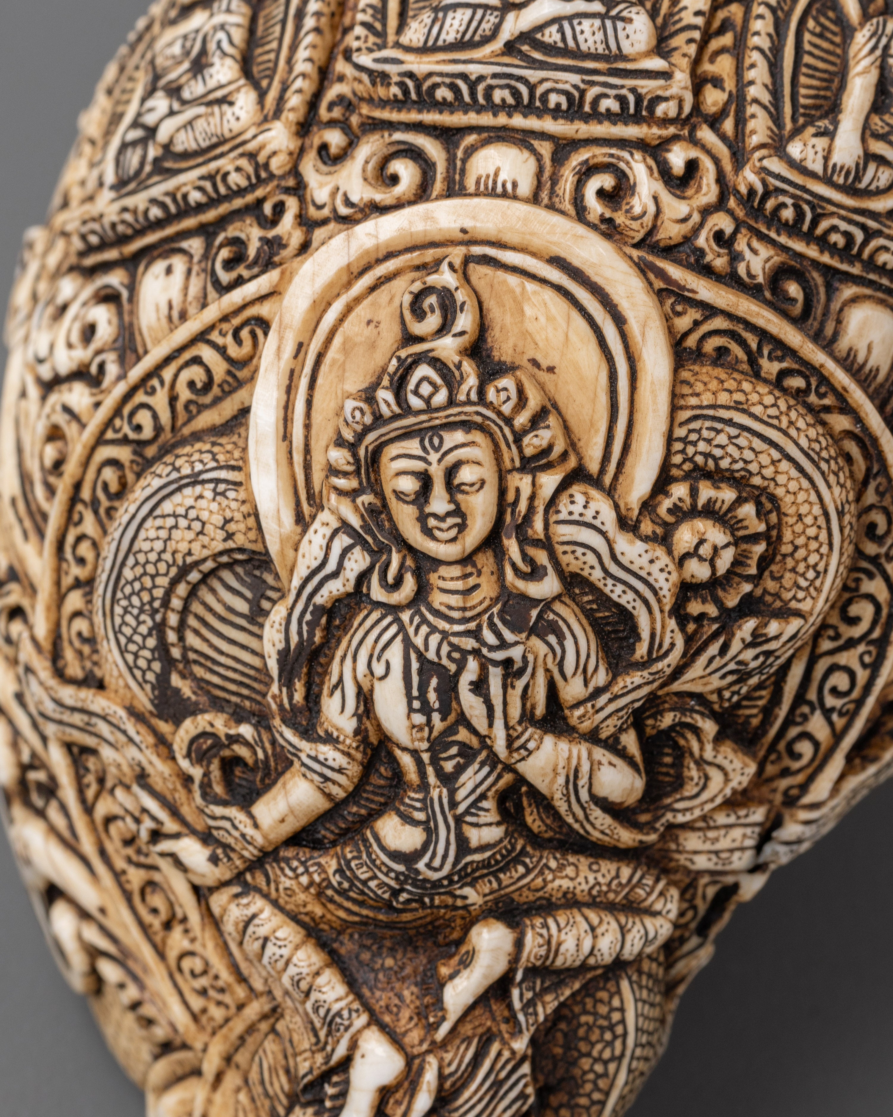Three Dhyani Buddha and White Tara Carved Conch | Conch Shell
