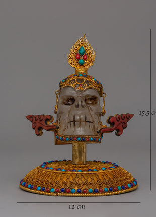 Spiritual Decor Skull Head | Symbol of Mortality and Transformation