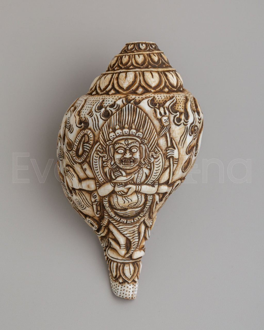 Conch Shell Ritual Traditional Sacred Buddhist Conch Shell | Handcrafted Ritual Tool