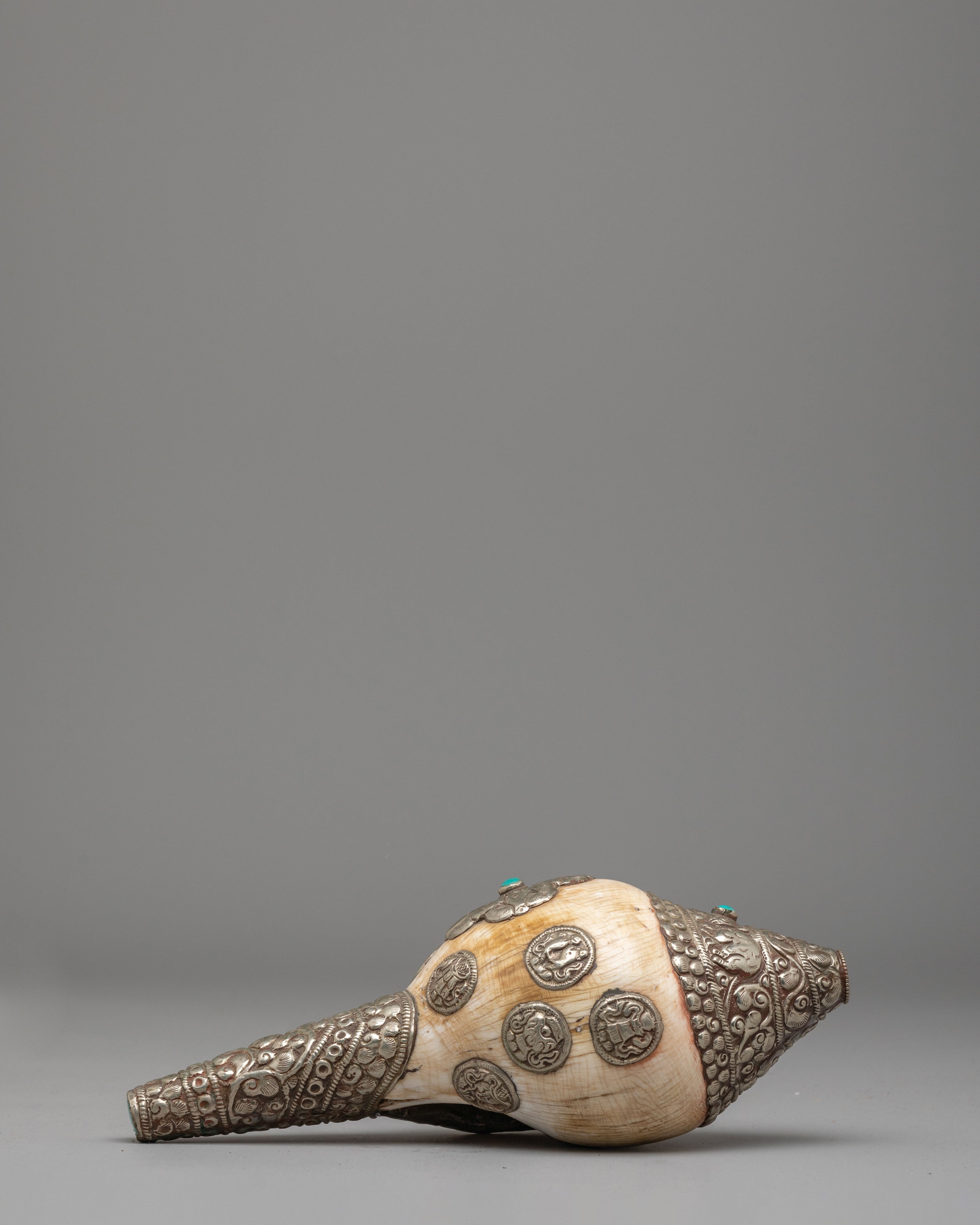 Sacred Dharma Conch Shell | Symbol of Spiritual Awakening
