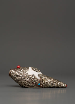 Conch Shell Spiritual Decor | Symbol of Sound and Spirituality