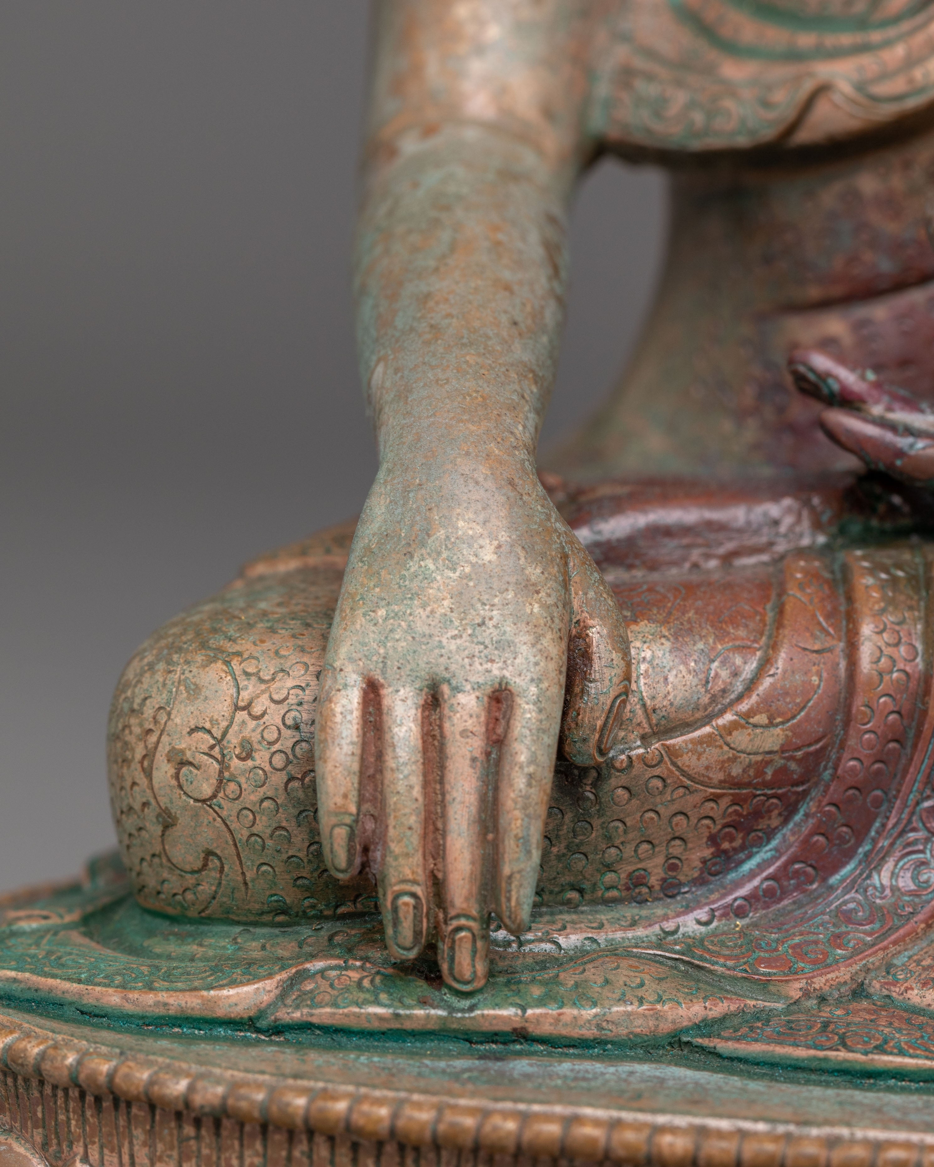 Dharma Teacher Buddha Shakyamuni | Enlightened One