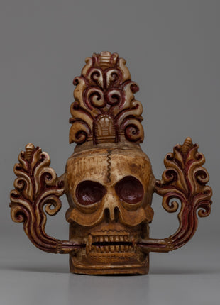 Buffalo Bone Skull Head