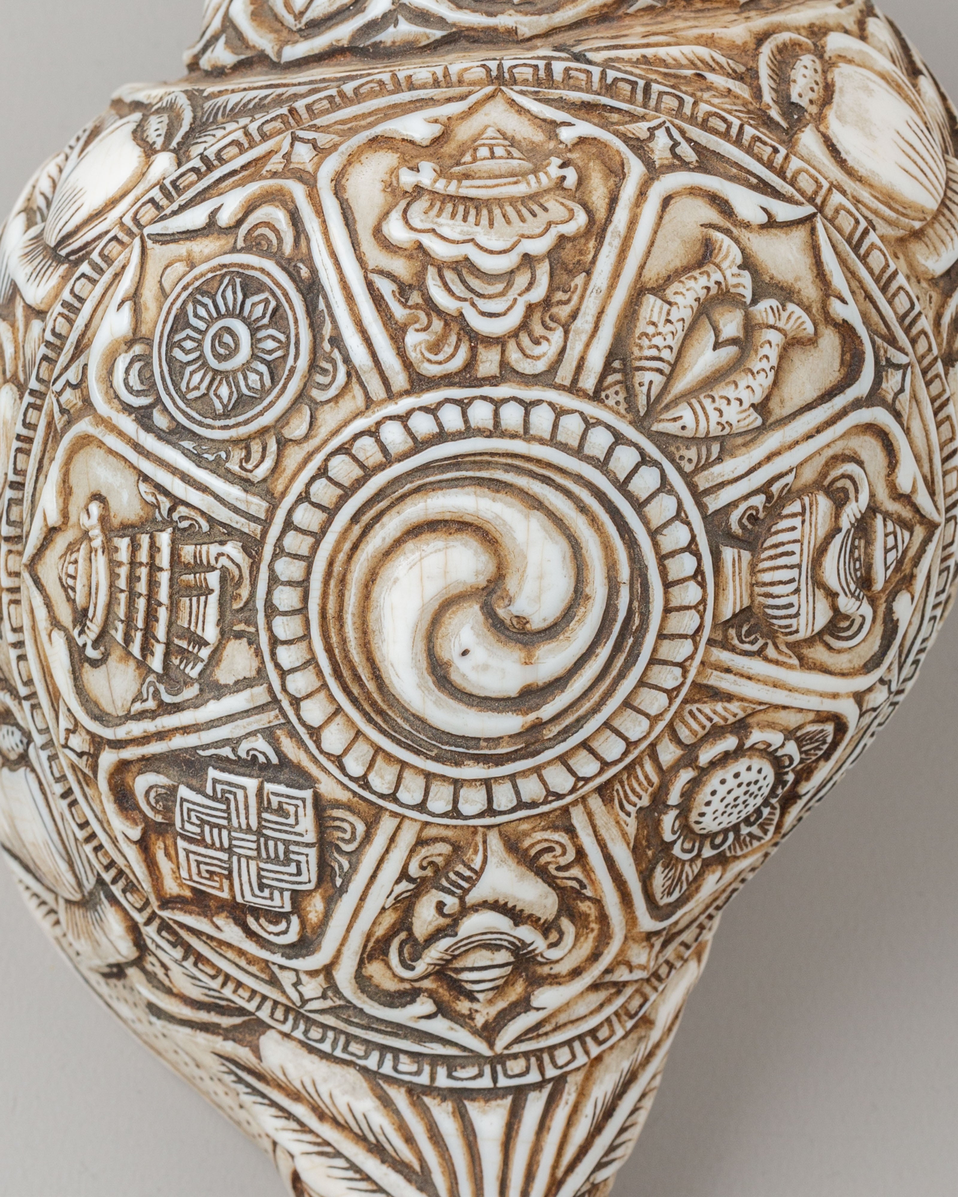 Auspicious Symbol Carved Conch | Perfect for Meditation & Spiritual Practices