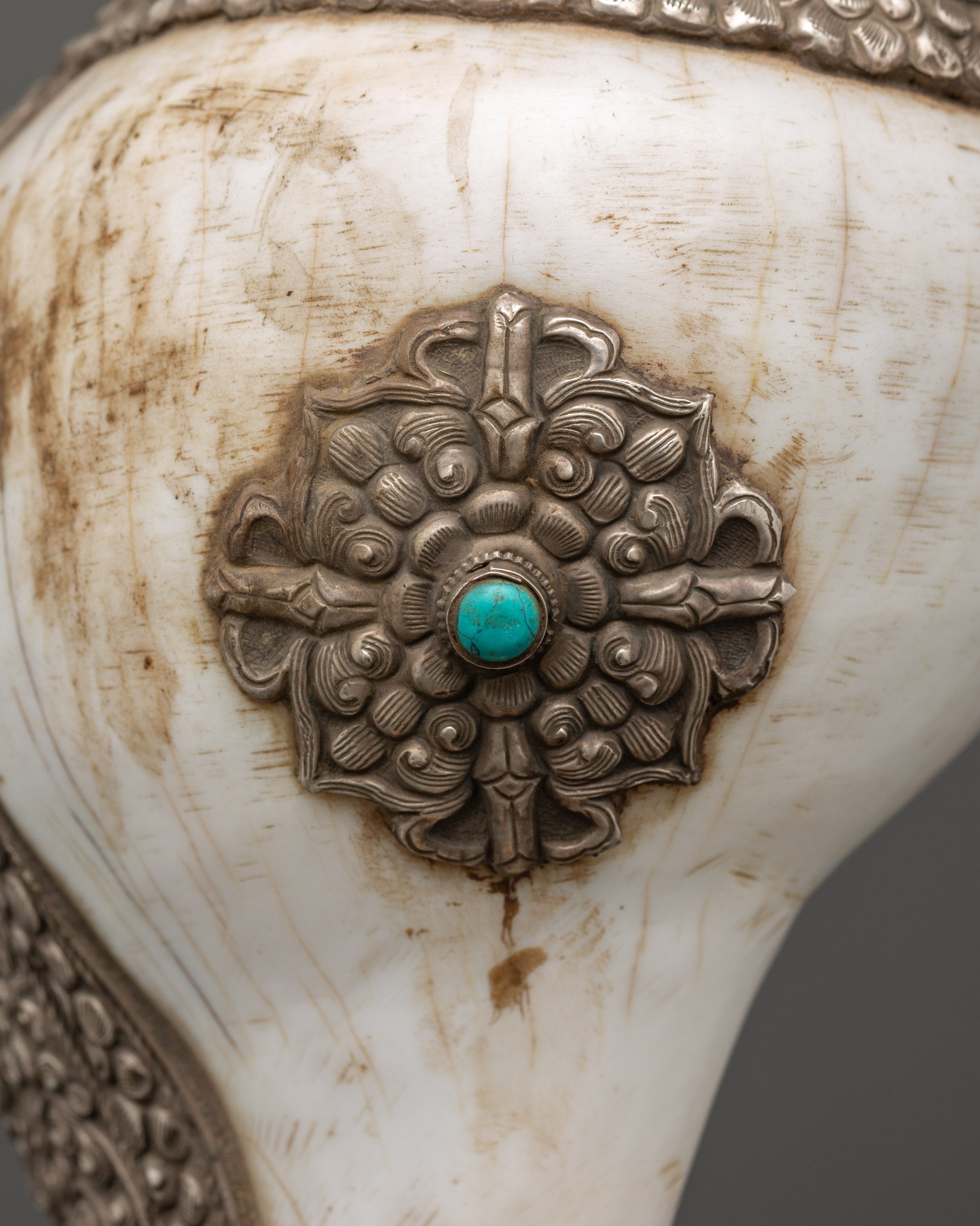 Religious Conch Shell | A Sacred Symbol of Dharma