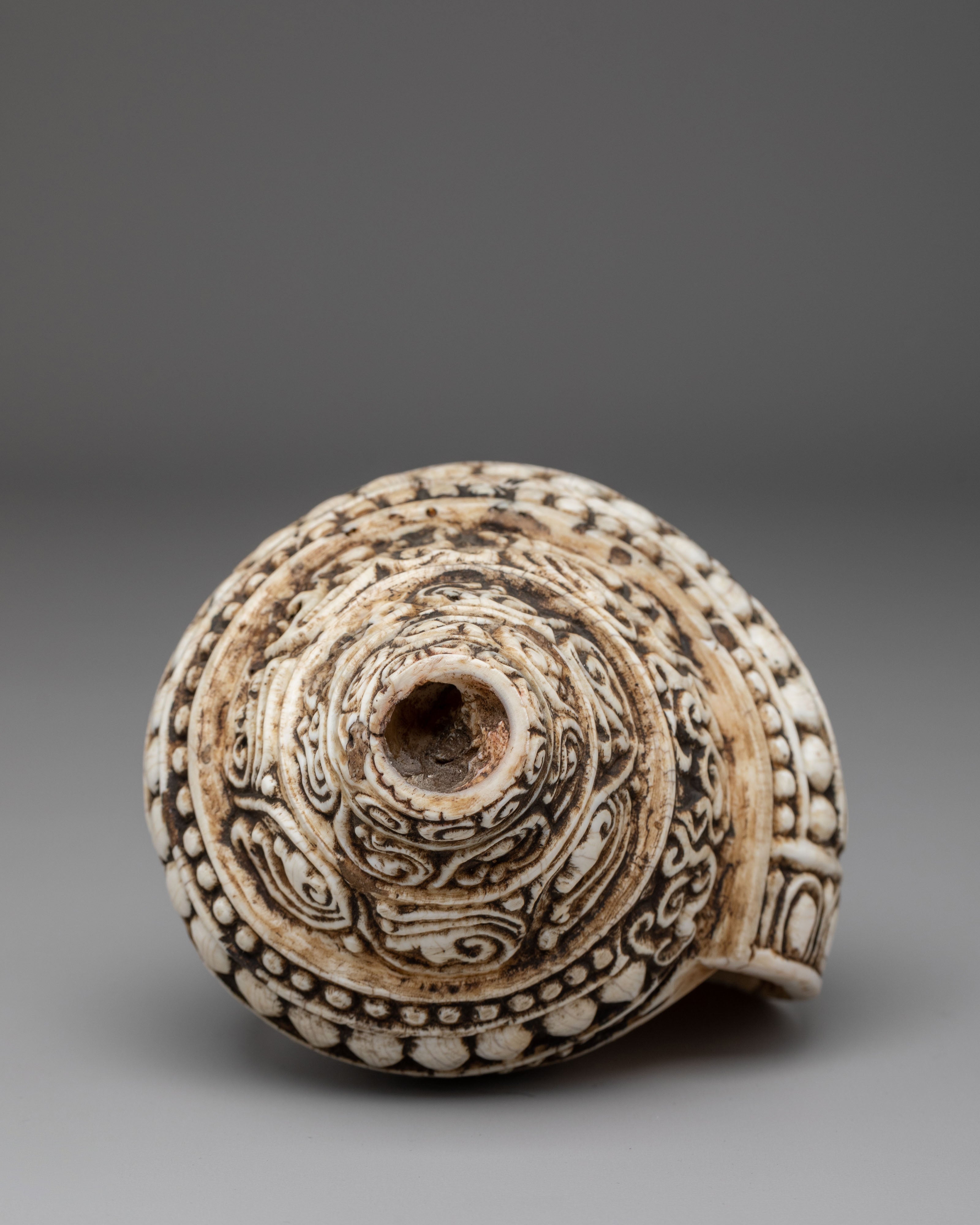 Hand Carved Tibetan Conch Shell | Sacred Sound Conch for Meditation