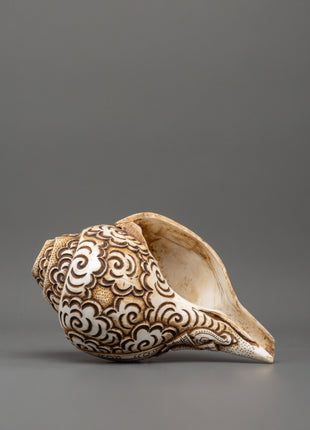 Ganesh Carved Conch Shell for Altar | Handcrafted Conch Shell Ritual Shankha