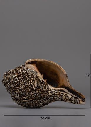 Handcrafted Traditional Tibetan Conch Shell | Sacred Buddhist Sankha