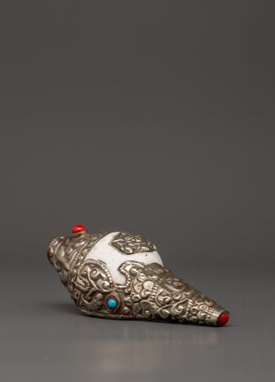 Conch Shell Spiritual Decor | Symbol of Sound and Spirituality