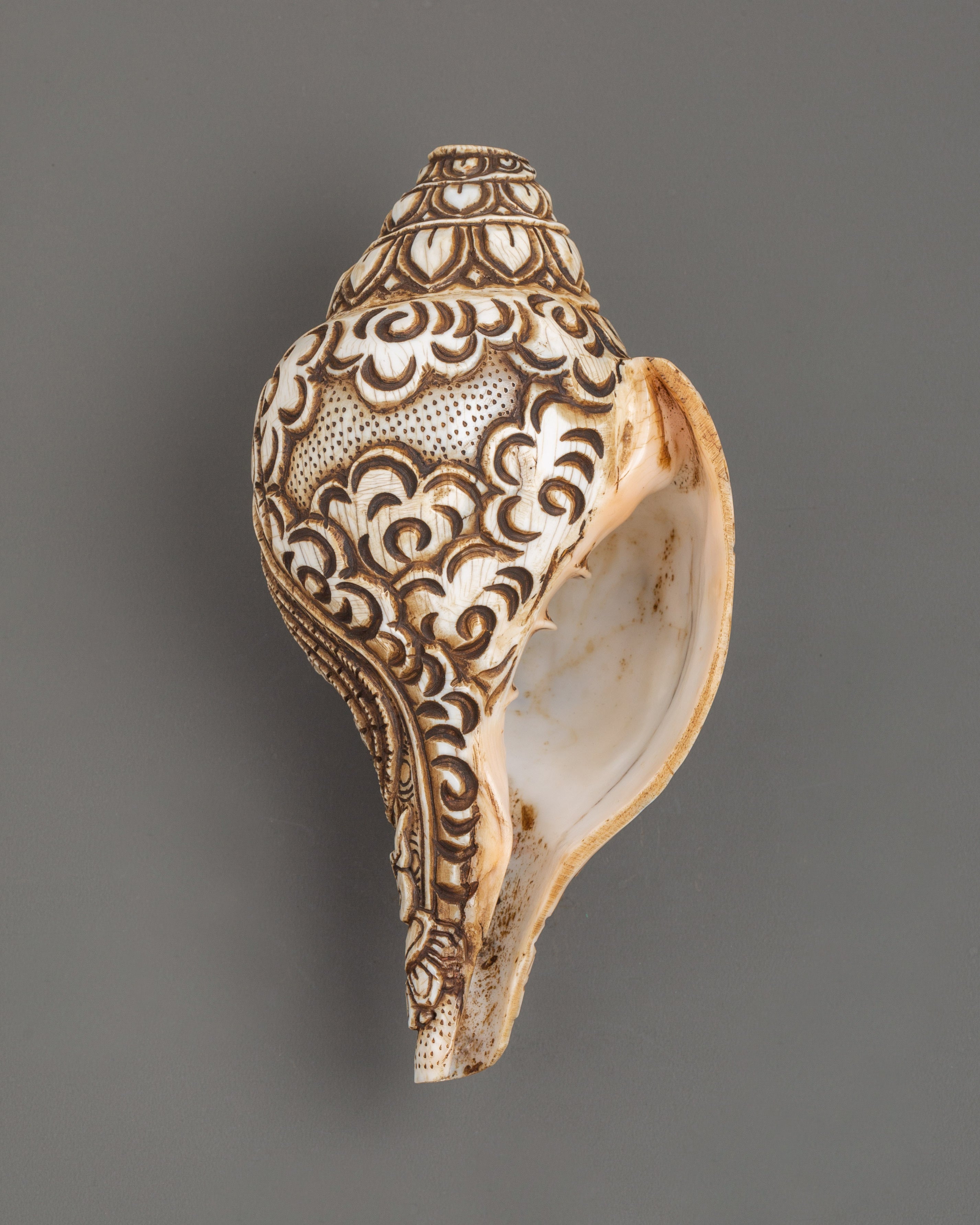 1000 Armed Chenrezig Carved Conch | Tibetan Spiritual Healing and Meditation Tool