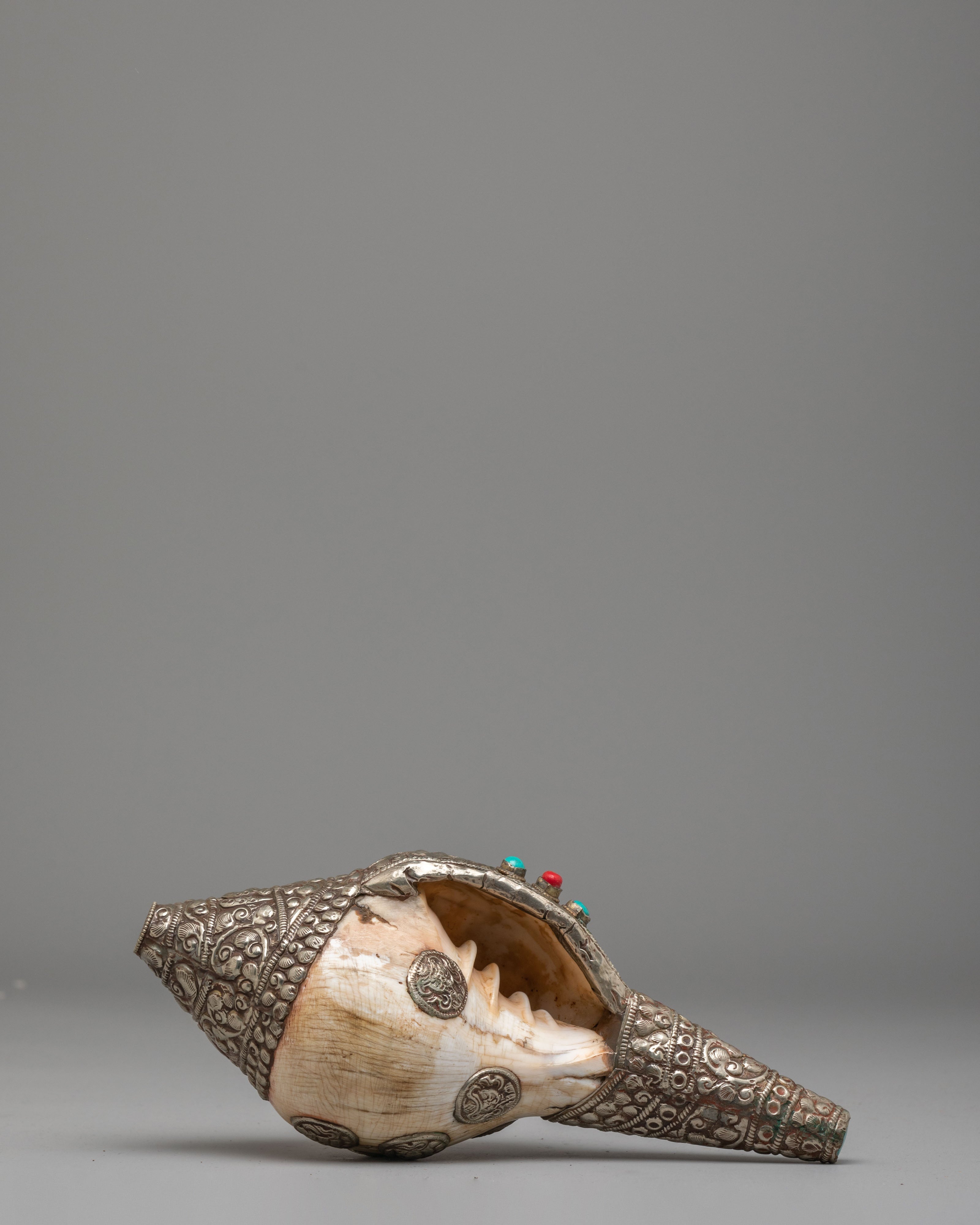Sacred Dharma Conch Shell | Symbol of Spiritual Awakening