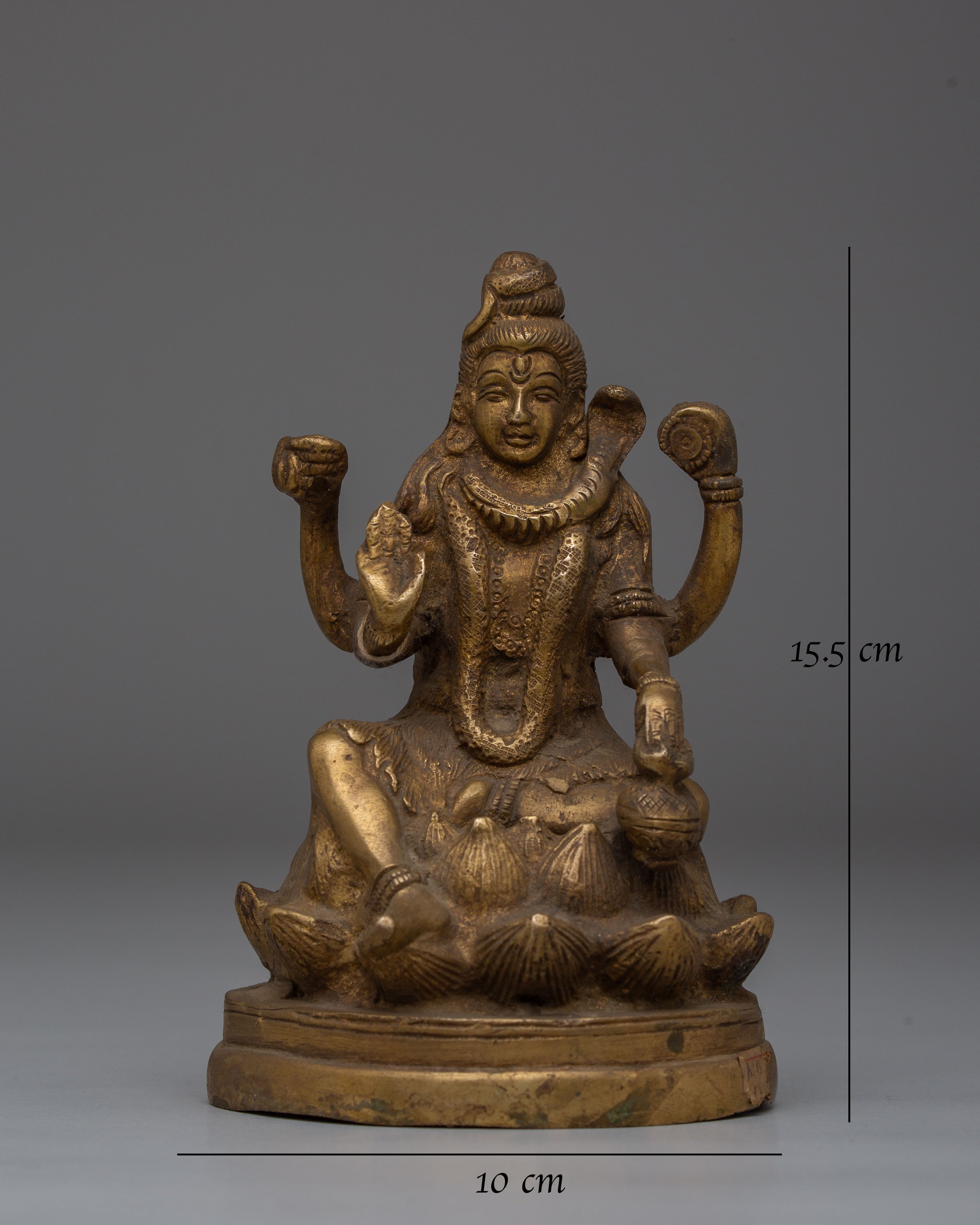 Statue of Lord Shiva Representation of Hindu Deity