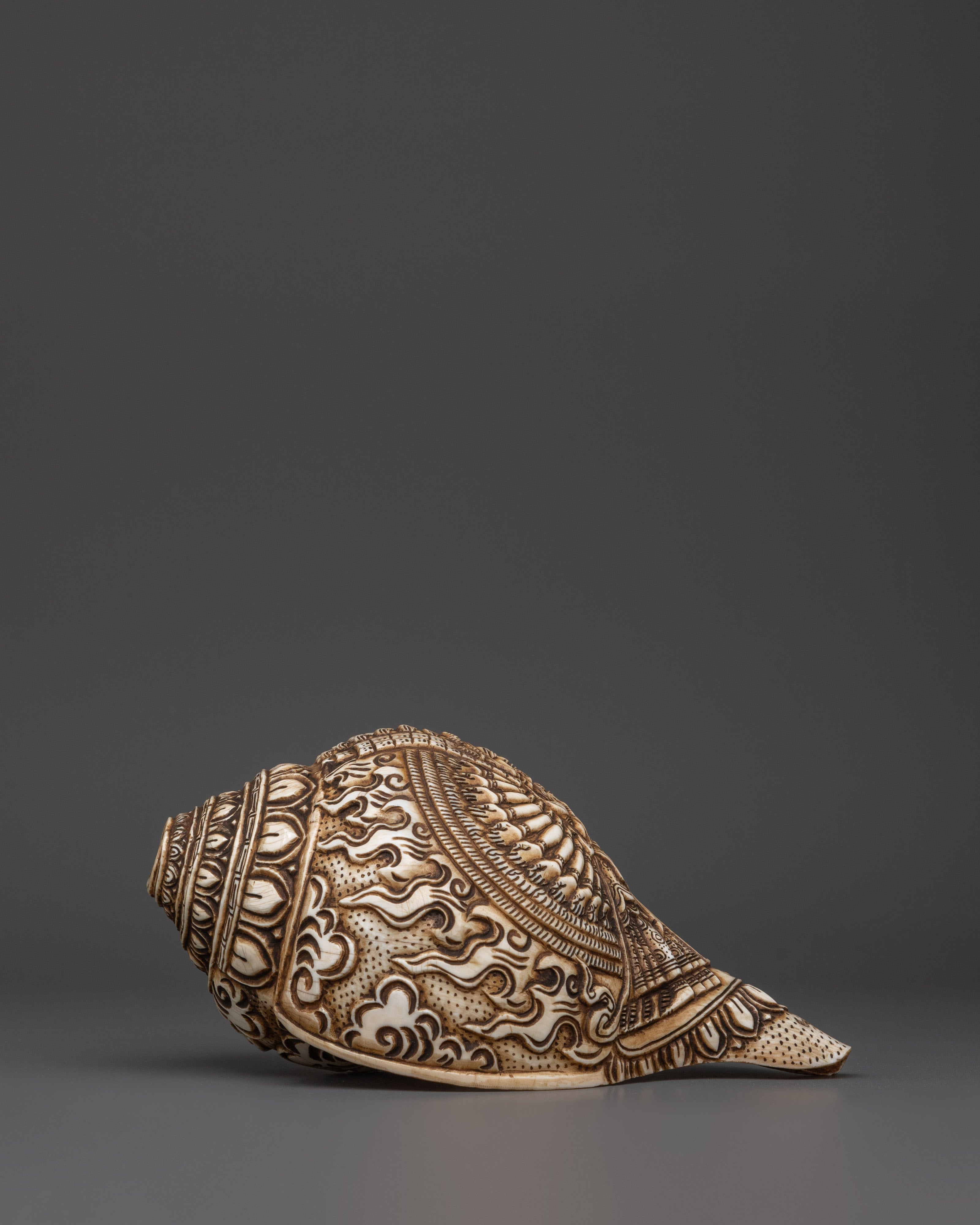 Conch for meditation | Meditation and Spiritual Practices