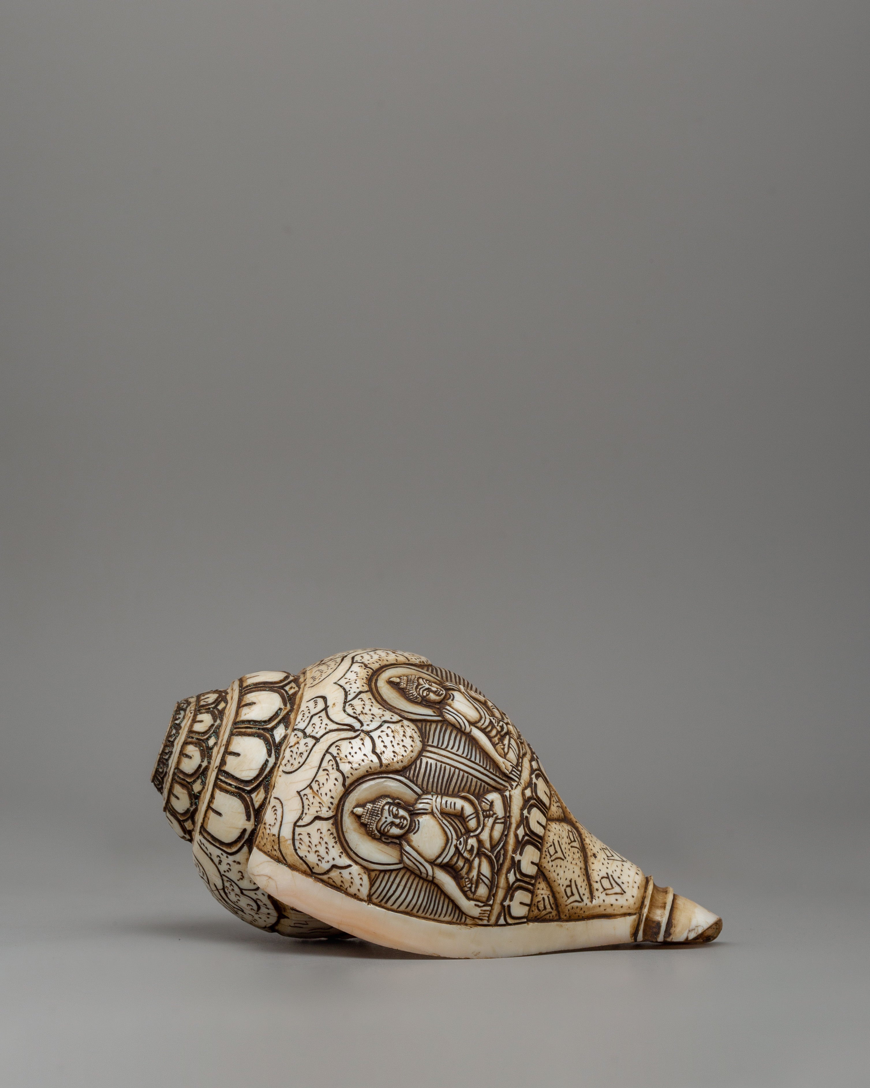 Hand-Carved Conch Shell | A Sacred Shankha for Rituals & Meditation ...