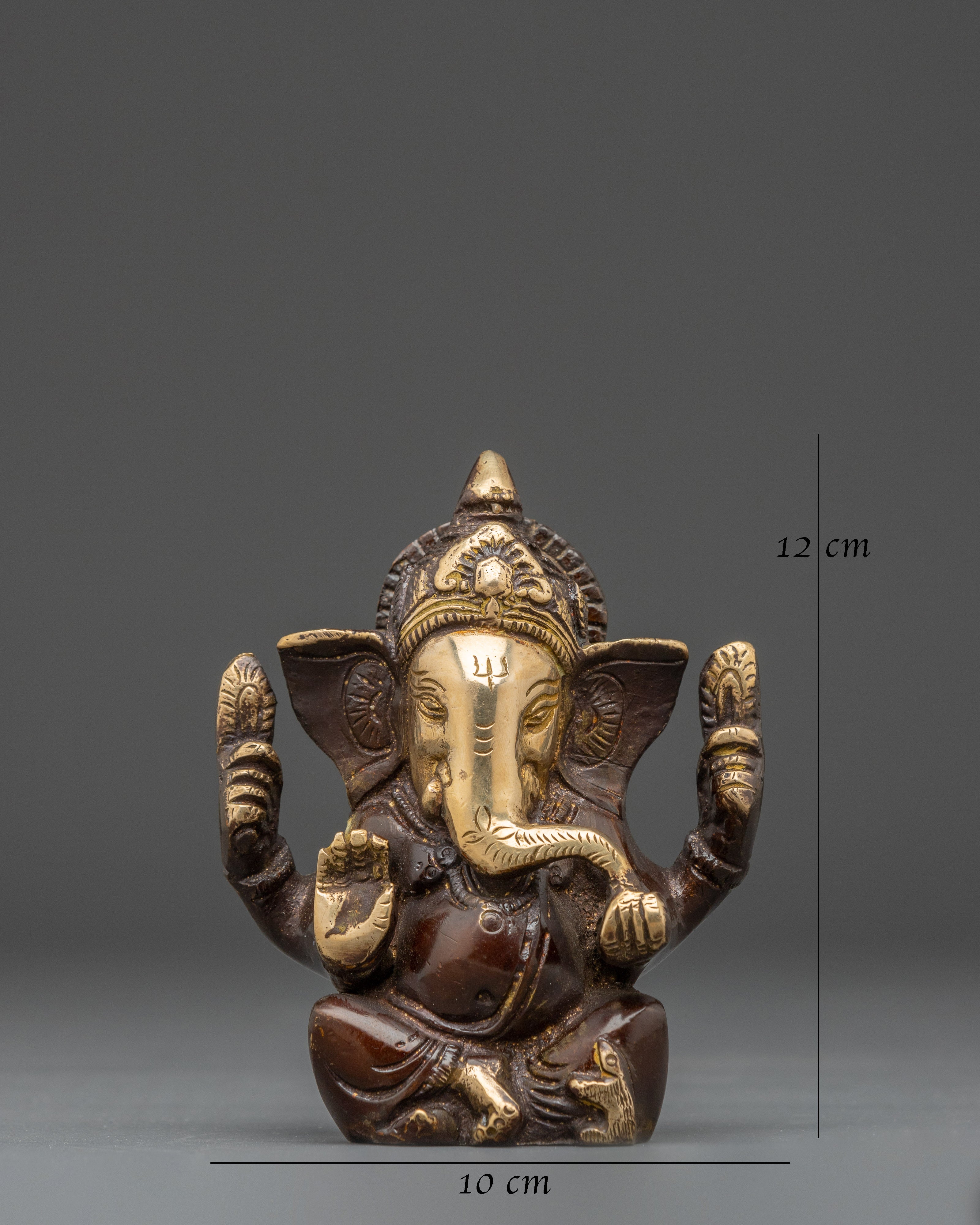 Lord Ganesha Hindu Deity Idol | Spiritual Home Decor