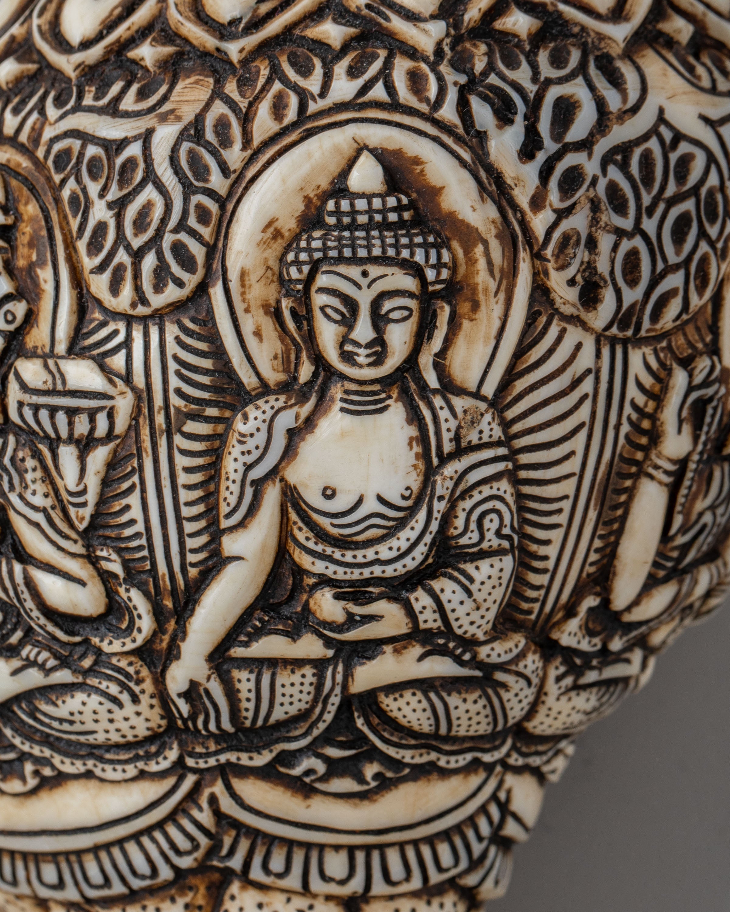 Tibetan Buddhist Sacred Conch | Meditation Tool