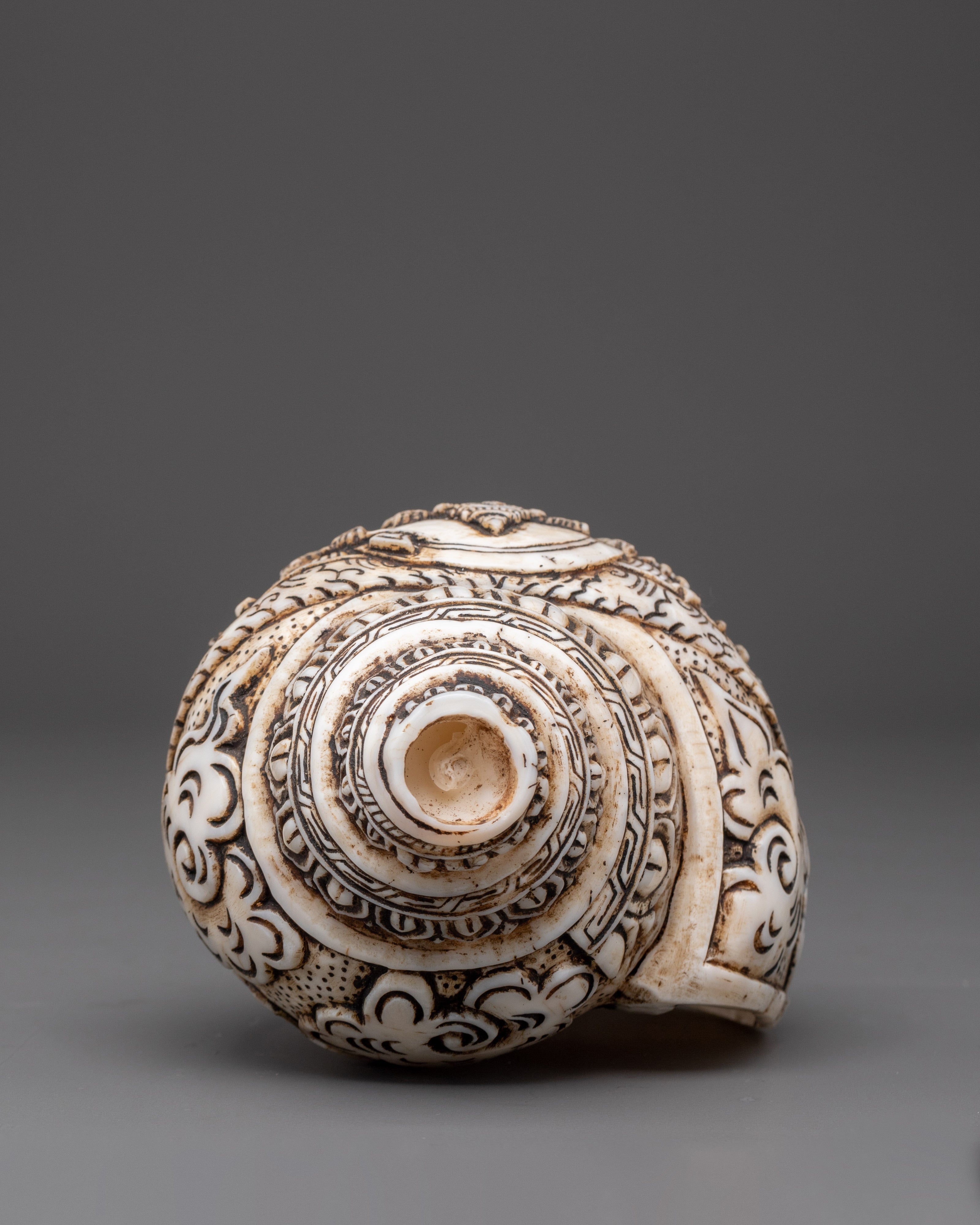 Traditional Kalachakra Engraved Buddhist Conch | Sacred Ritual Conch for Meditation