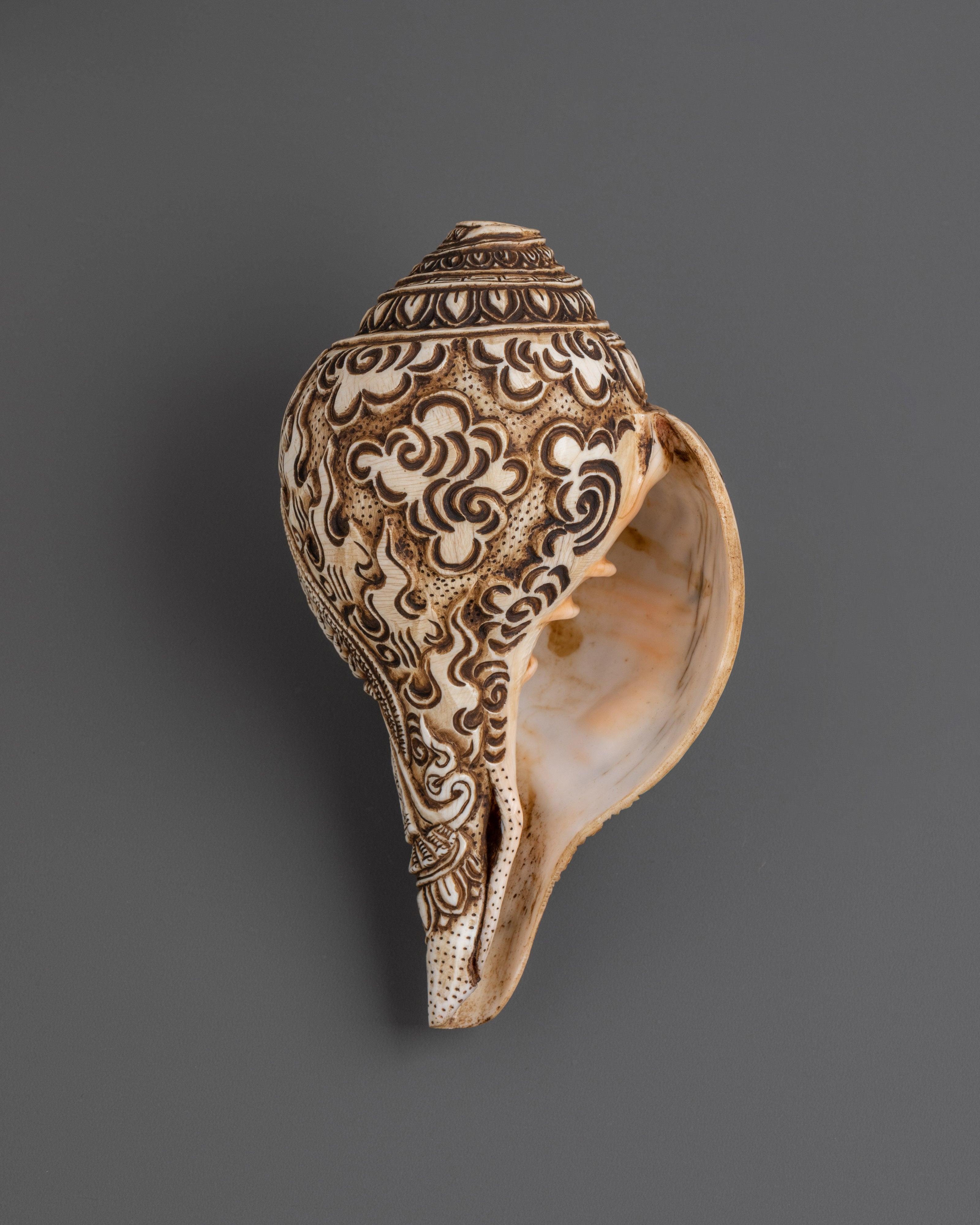 Conch for meditation | Meditation and Spiritual Practices