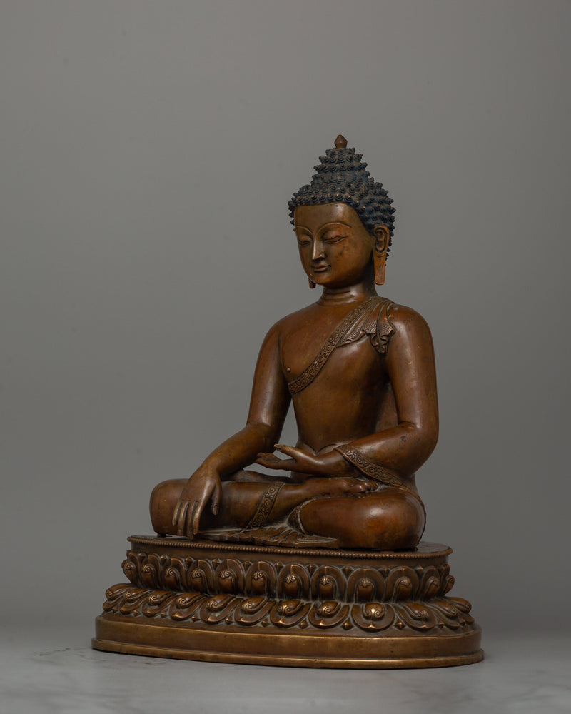 Enlightened Shakyamuni Buddha | The Supreme Teacher