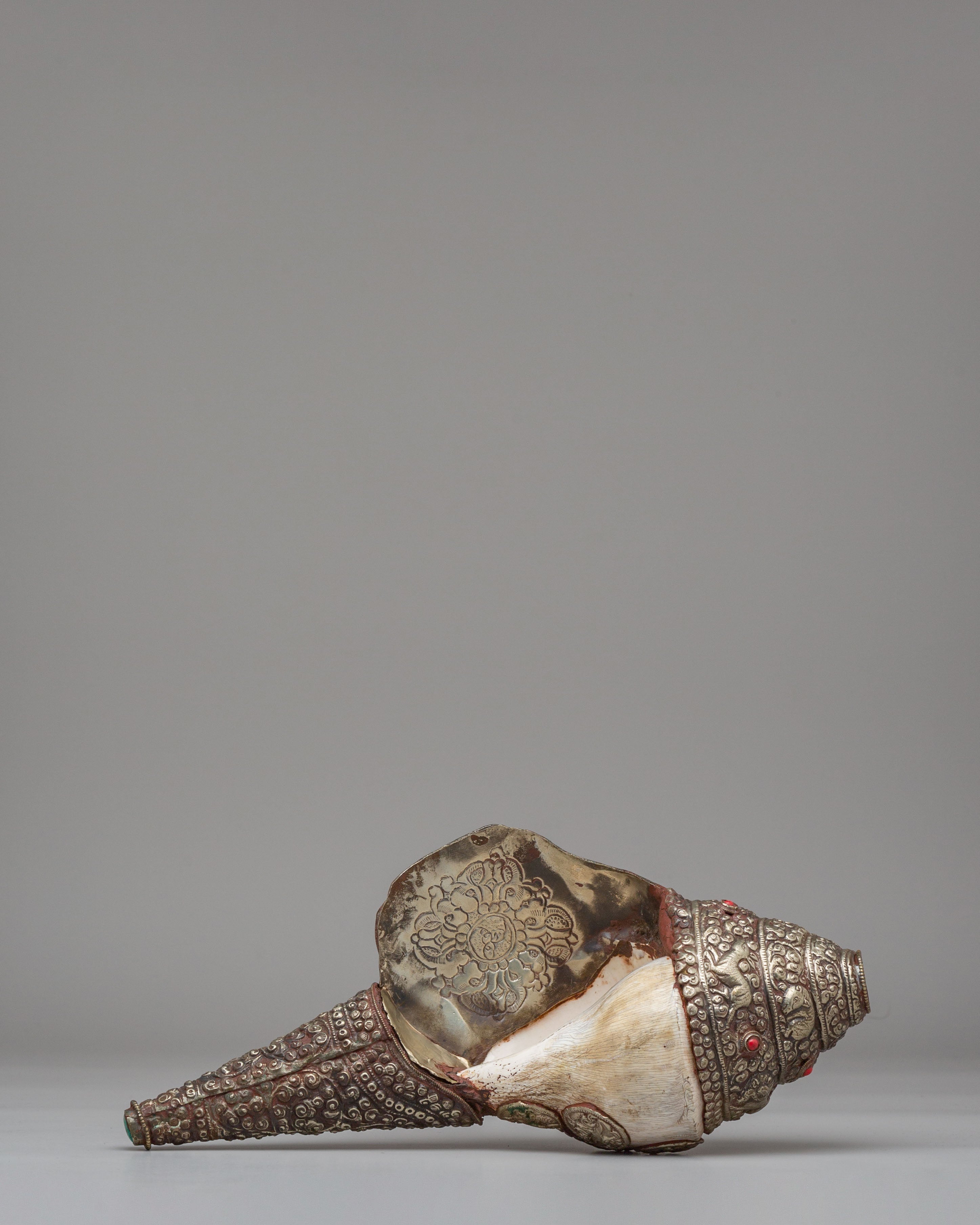 Himalayan Conch Shell | Buddhist Altar Decor