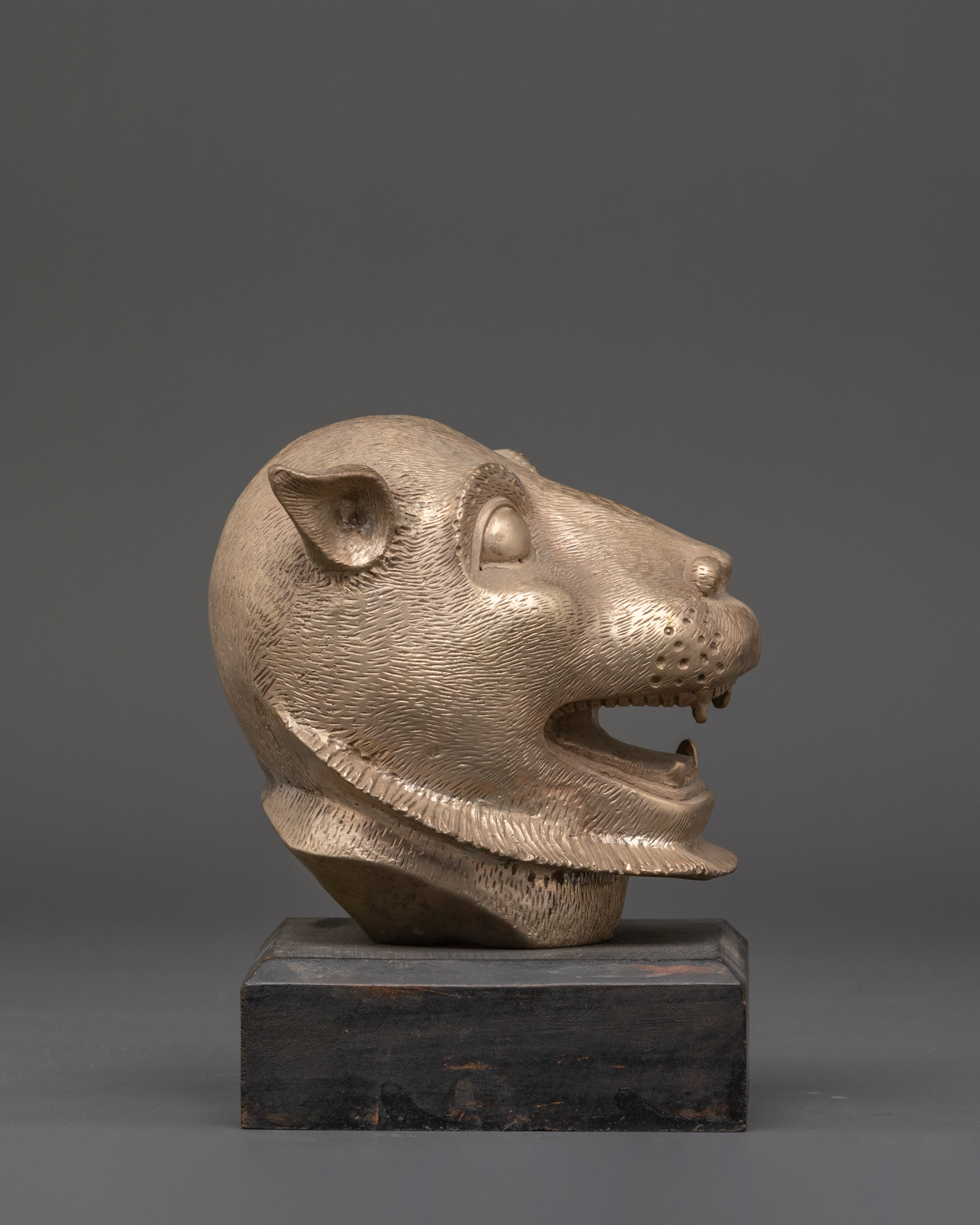 Tiger Head | Unique Animal Art