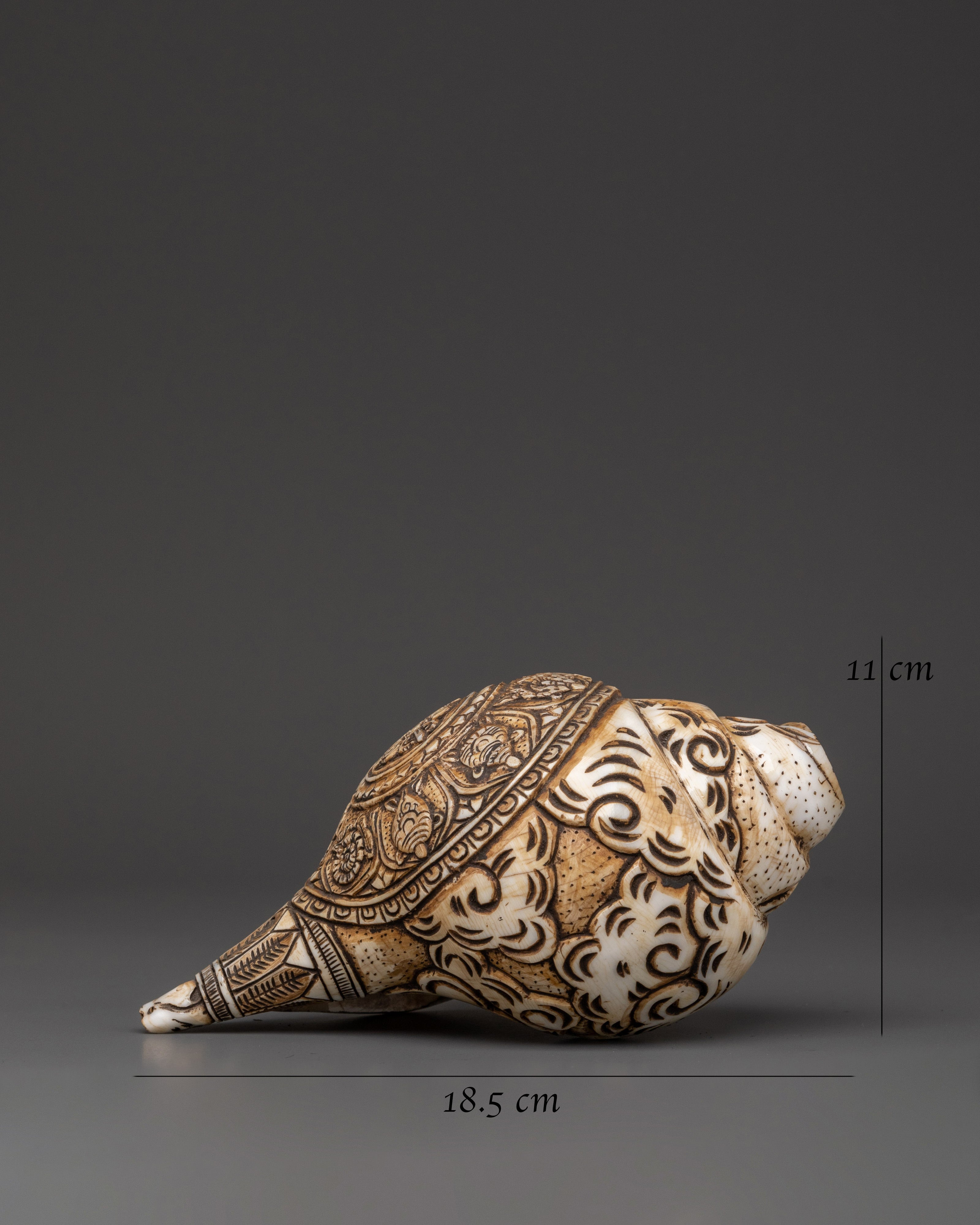 Handcrafted Tibetan Conch Shell | Symbol of Sacred Sound and Blessings