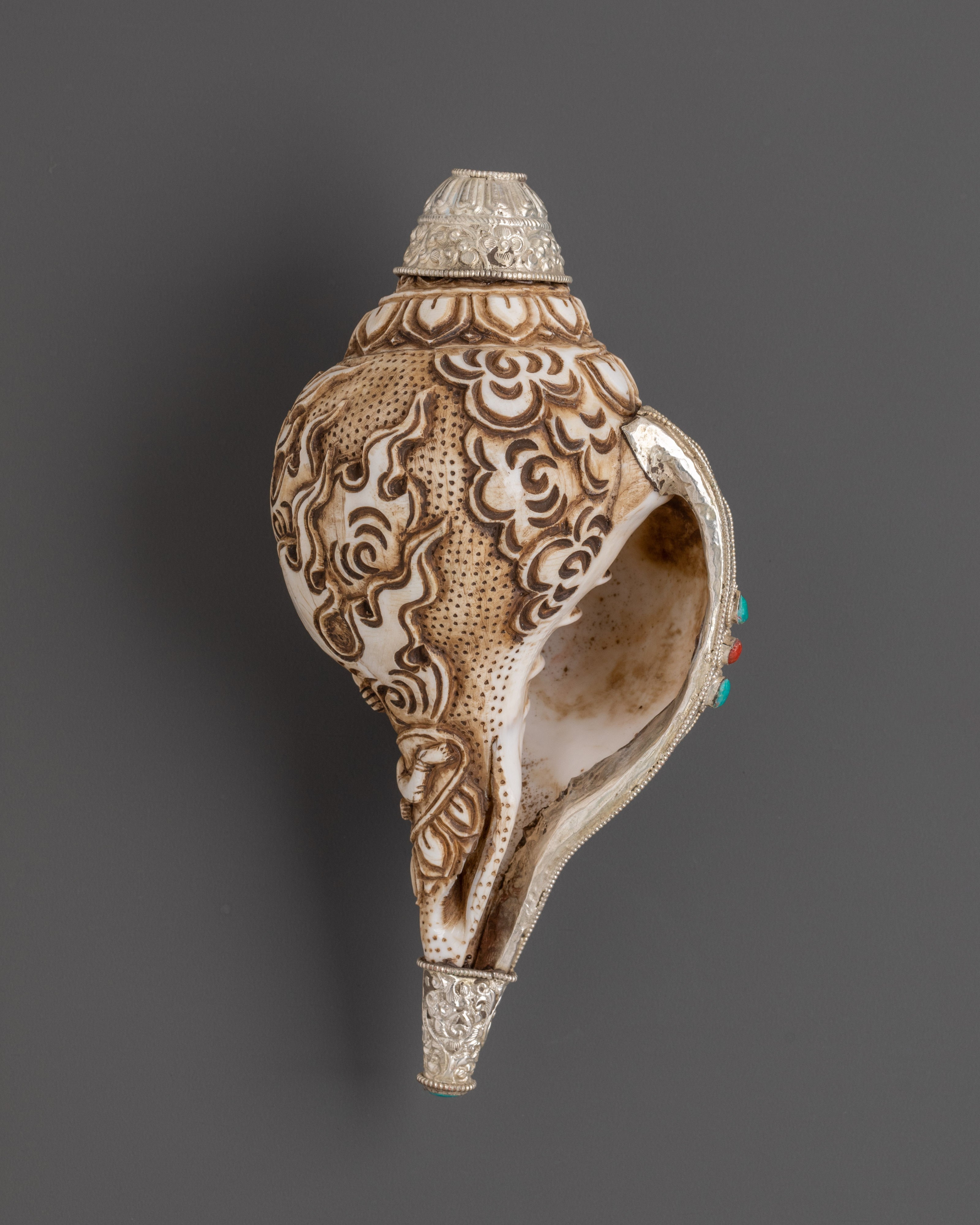 Ritual Tool Conch | Sacred Spiritual Tool
