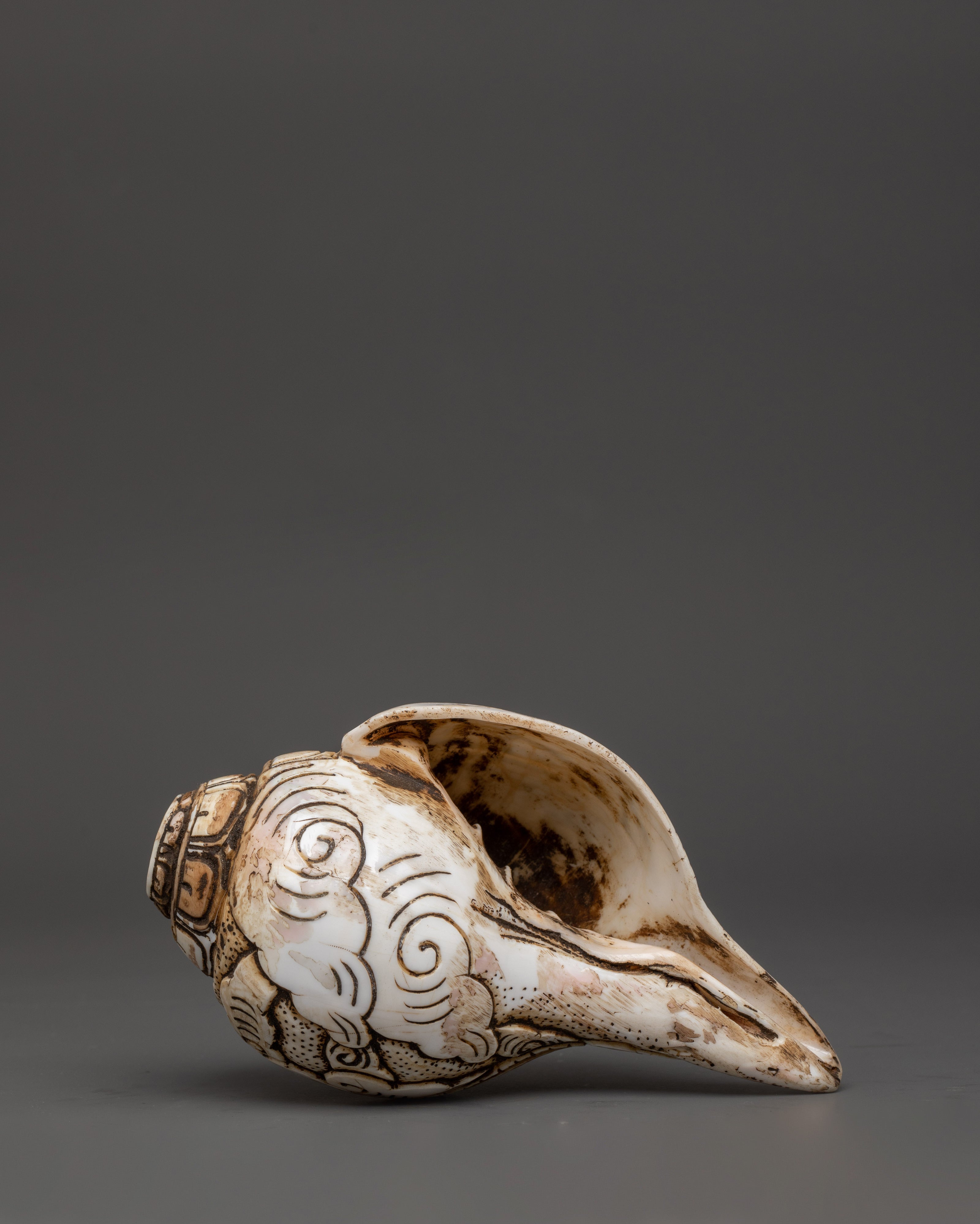 Himalayan Ritual Conch | Hand-Carved Buddhist Shankha with Auspicious Symbols