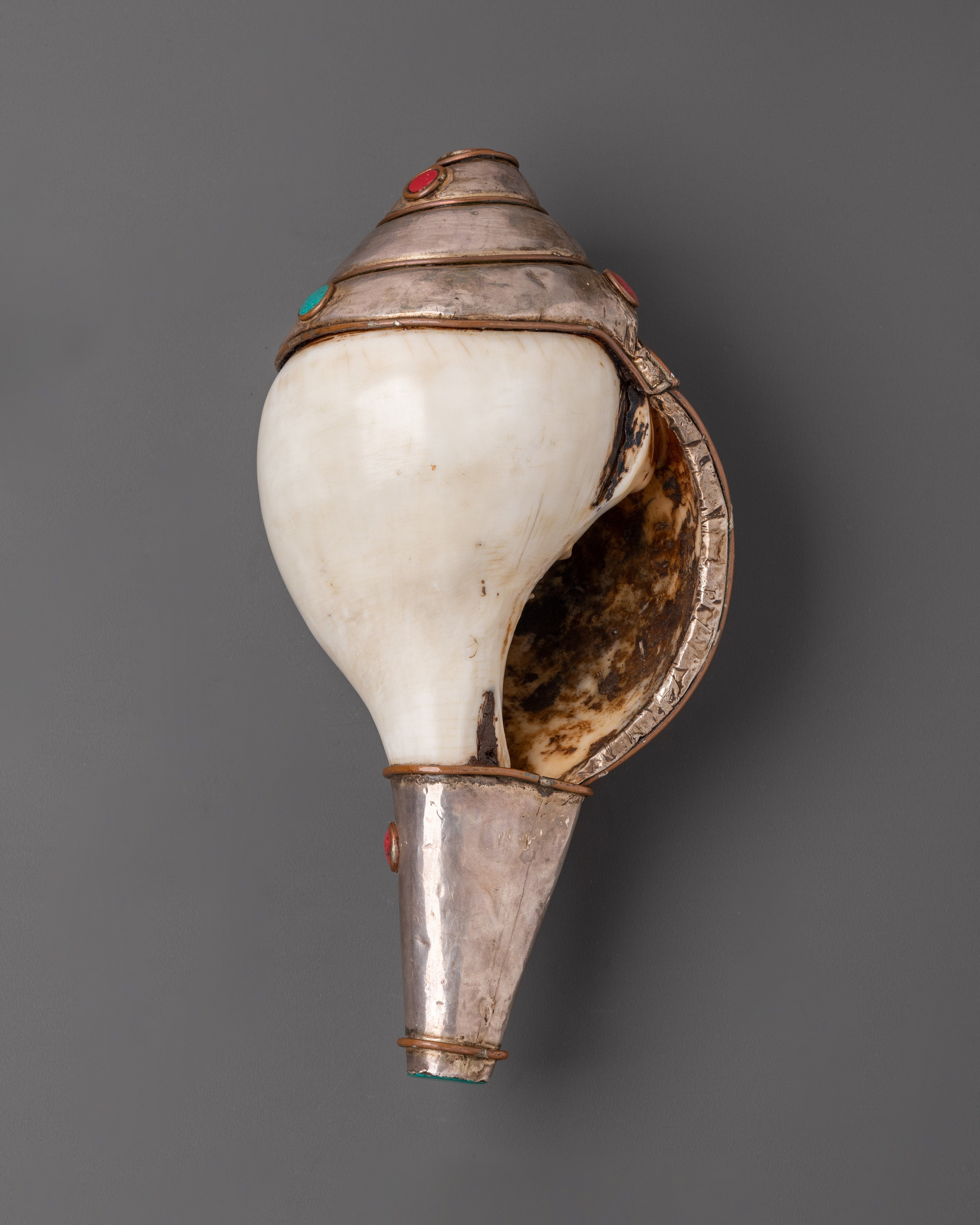 Conch Spiritual Tool | Sacred Buddhist Conch Shell