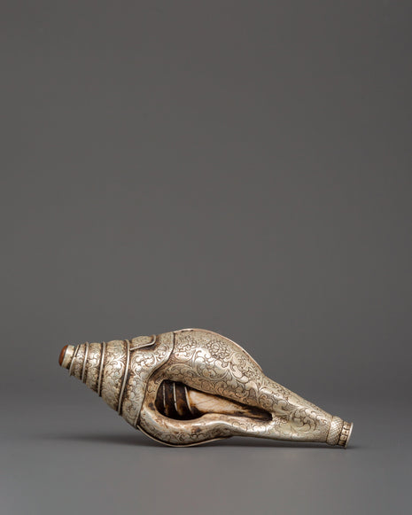 spiritual-pure-silver-conch