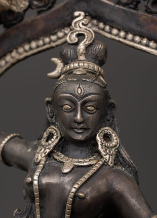 Baglamukhi Devi Statue | Wrathful Hindu Goddess