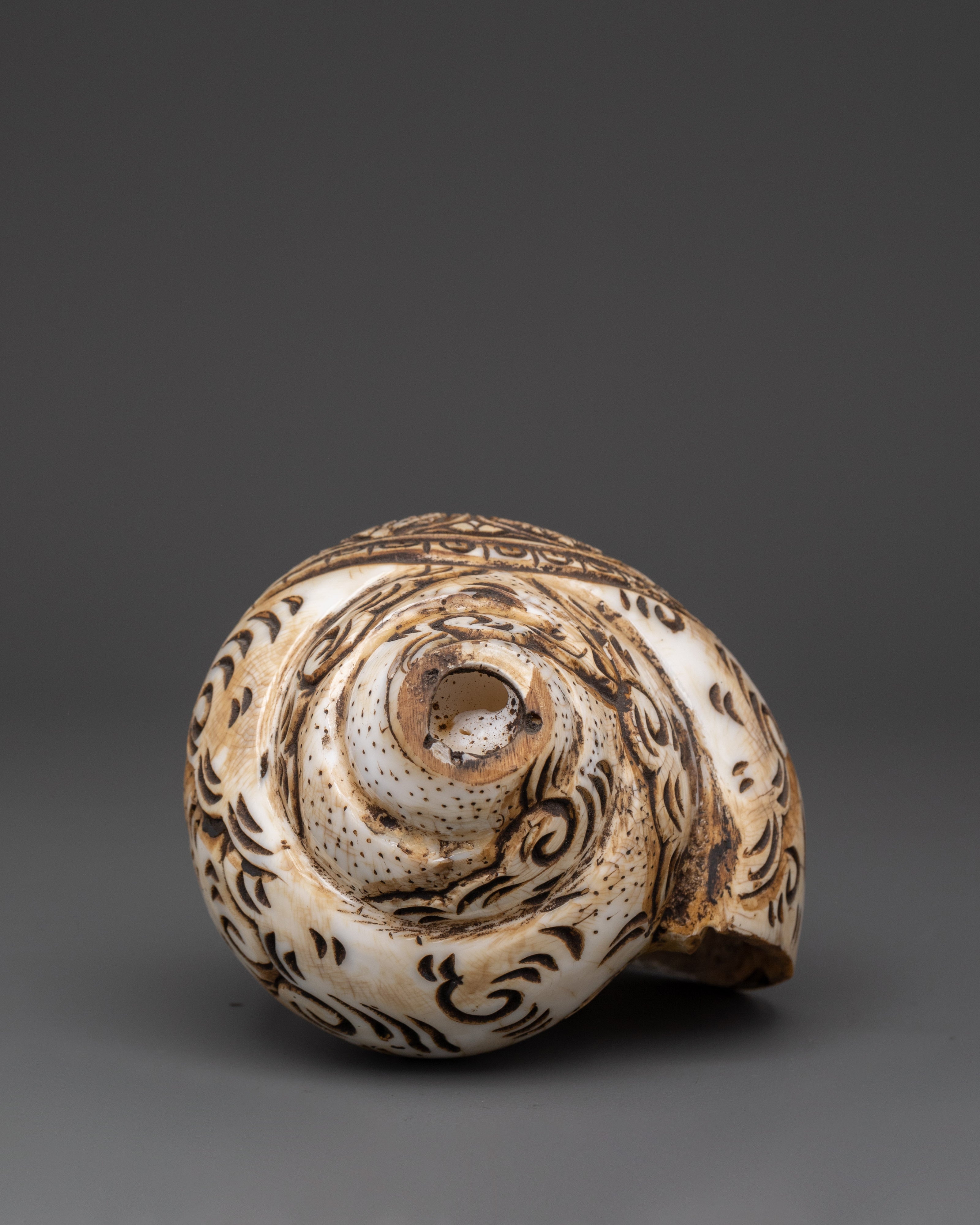 Handcrafted Tibetan Conch Shell | Symbol of Sacred Sound and Blessings