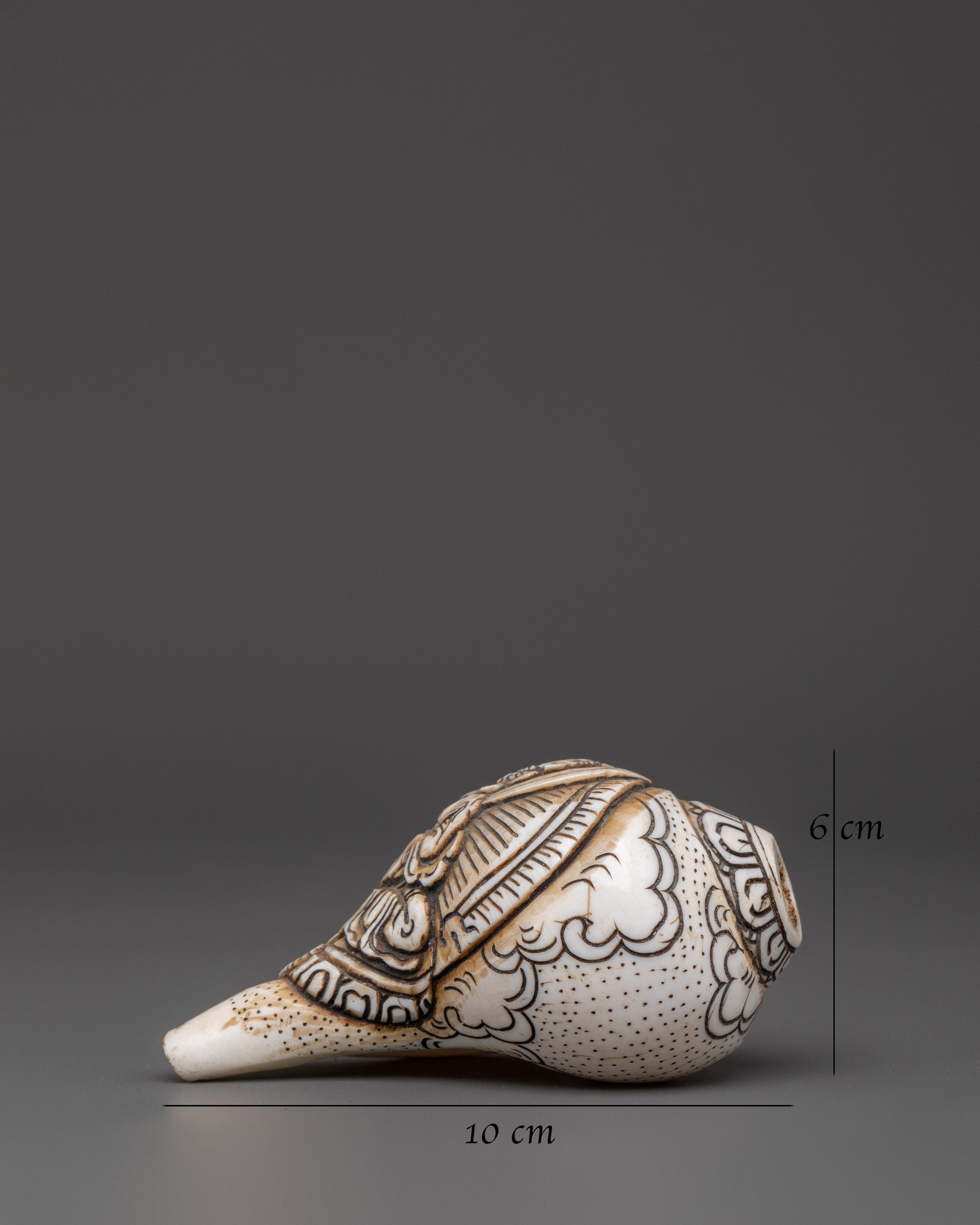 Dzambhala Conch | Sacred Buddhist Artifact