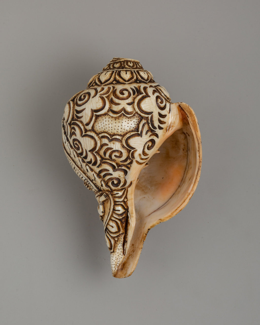 Conch Shell Ritual Conch Shell with Shakya Mahakala Carvings | A Powerful Ritual Artifact